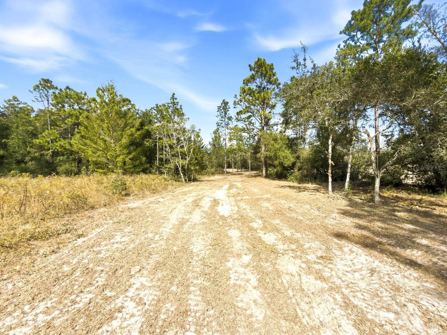 Land at 34095 HYATT RD, DADE CITY, photo 42 of 45