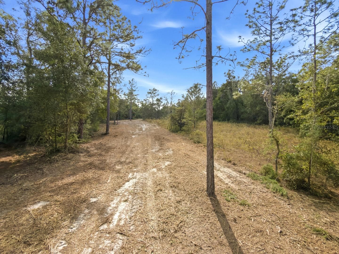 Land at 34095 HYATT RD, DADE CITY, photo 45 of 45