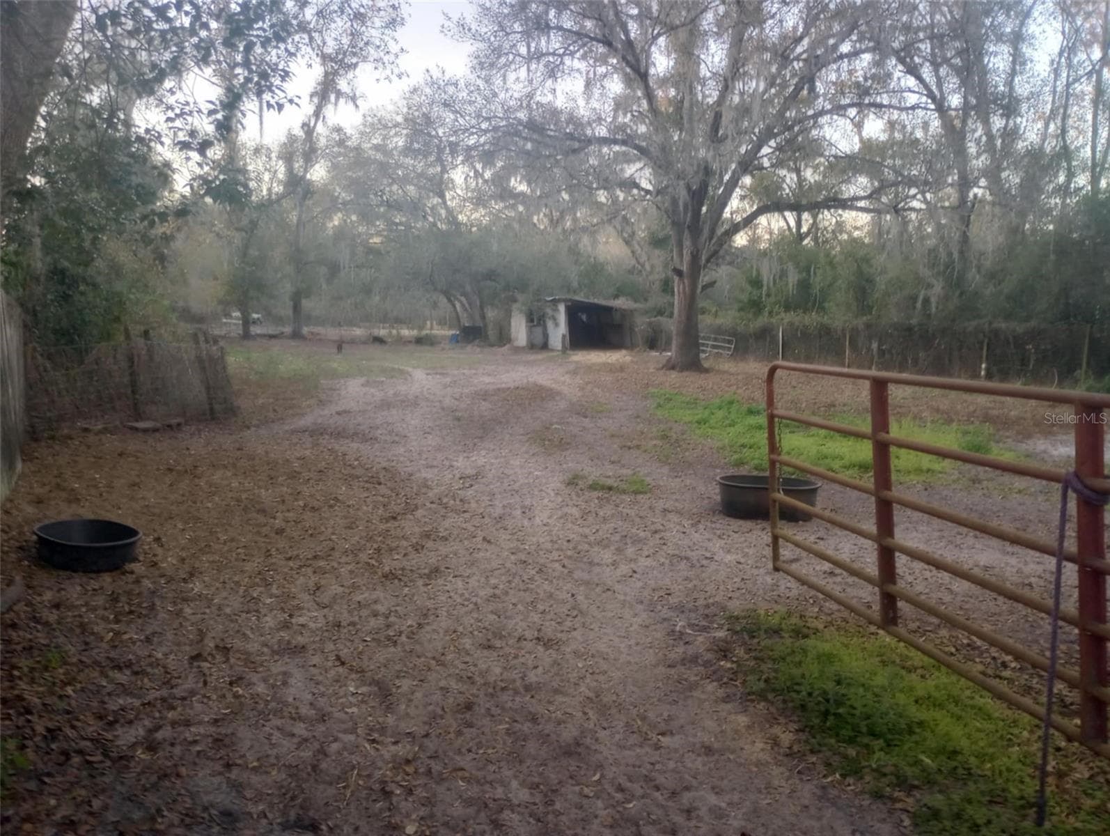 Back horse paddock - 14016 N. HWY 301, THONOTOSASSA