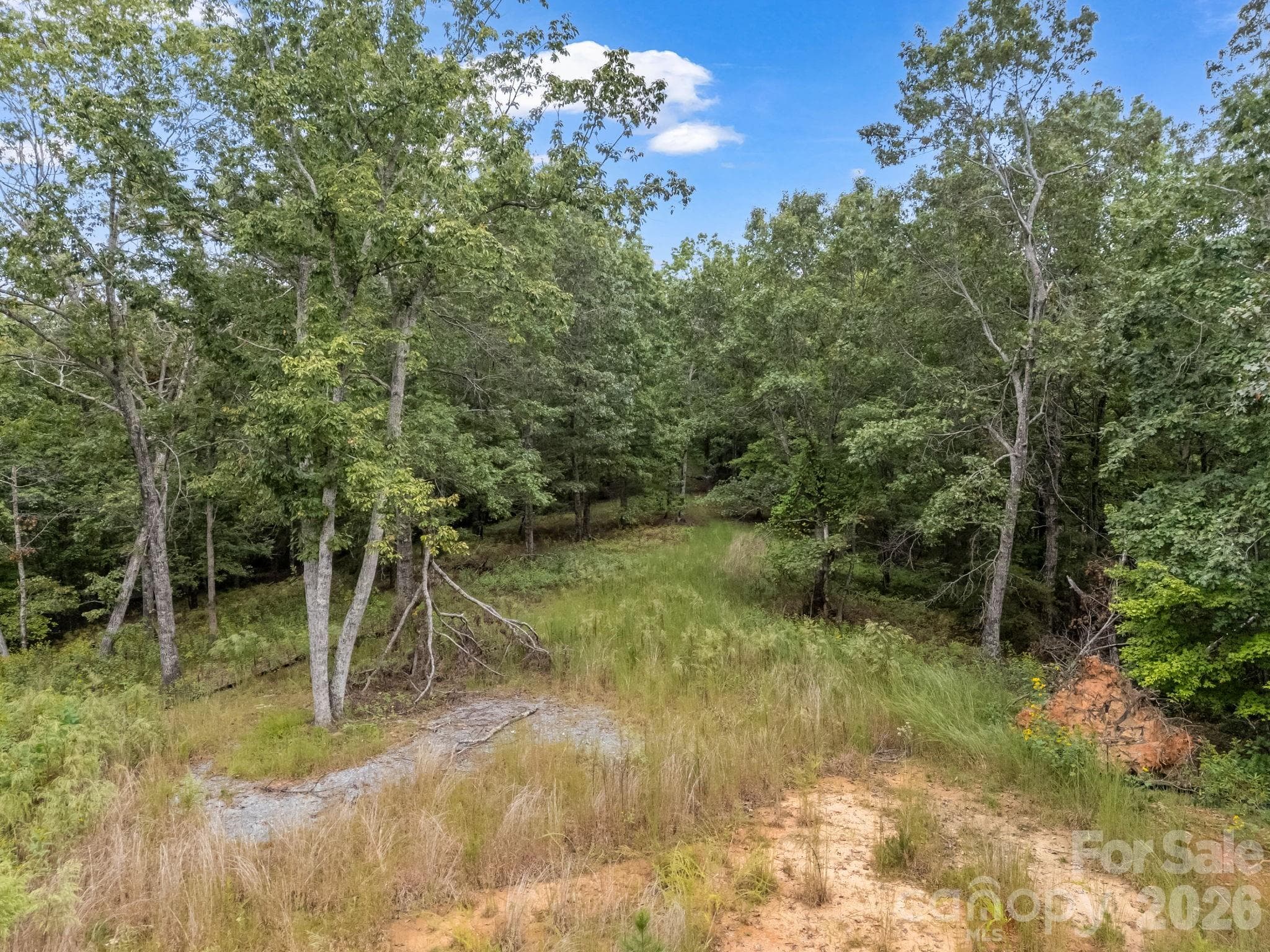 4BR Septic In Place - TBD N Highland Farms Road, Mill Spring