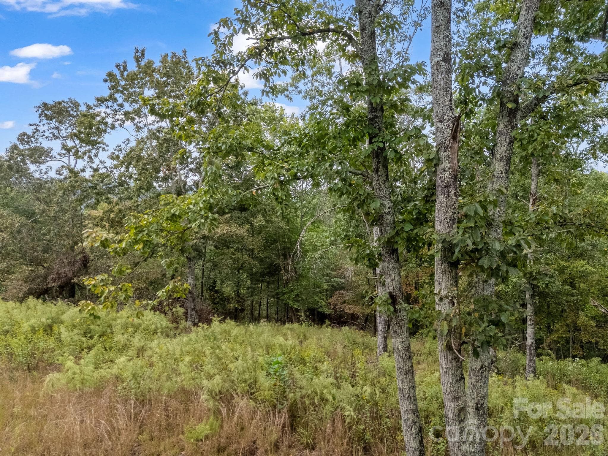 Plenty of Room Build and/or Play - TBD N Highland Farms Road, Mill Spring