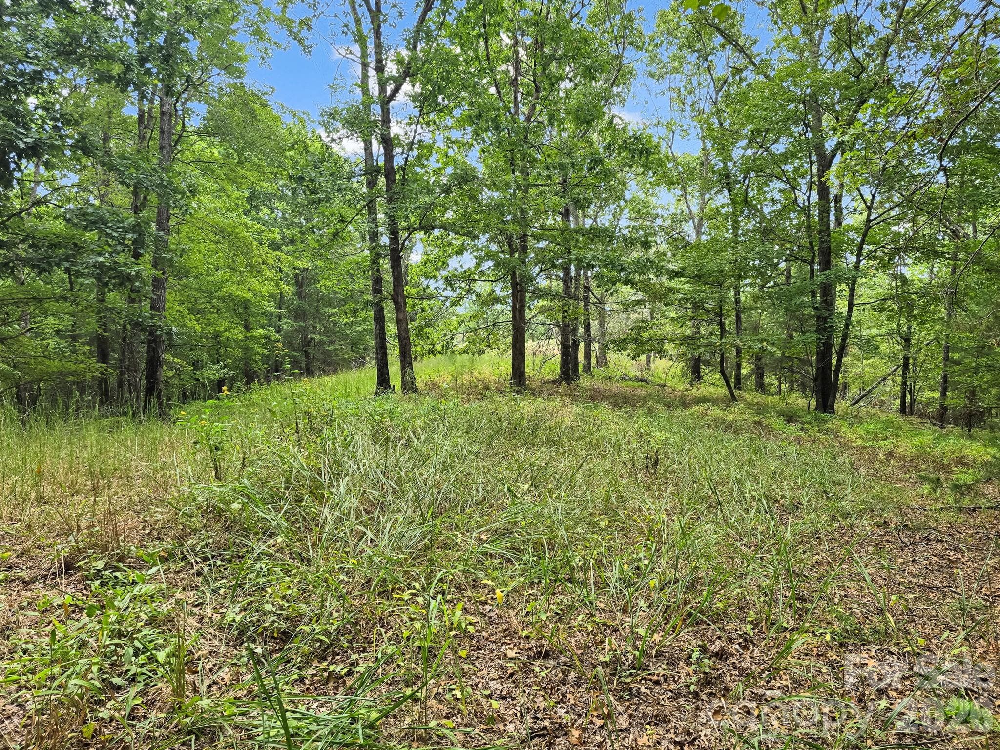 Outstanding Acreage - TBD N Highland Farms Road, Mill Spring