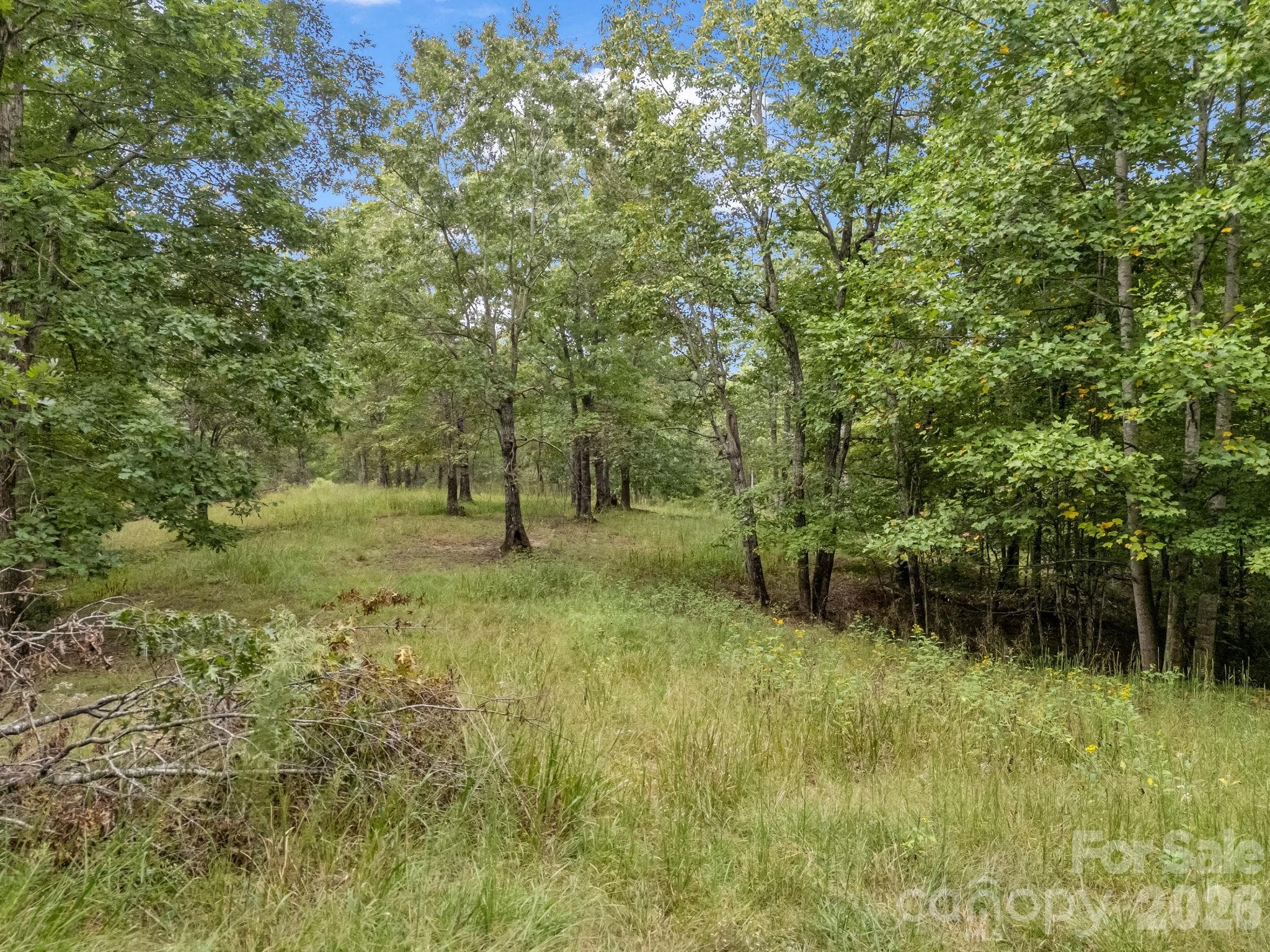 Ideal / Usable Acreage - TBD N Highland Farms Road, Mill Spring