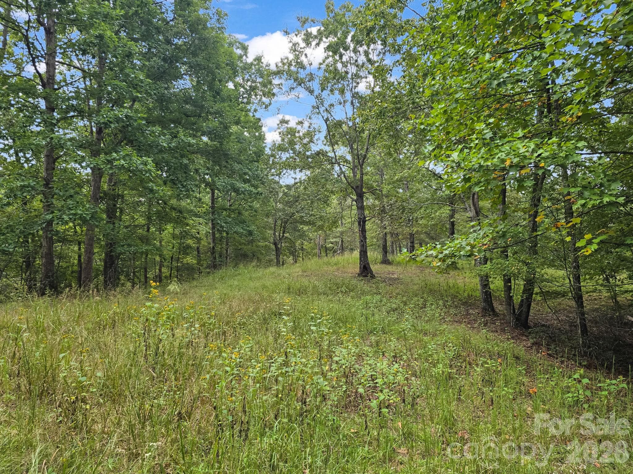 Perfect +/-12.63 Acre Tract - TBD N Highland Farms Road, Mill Spring