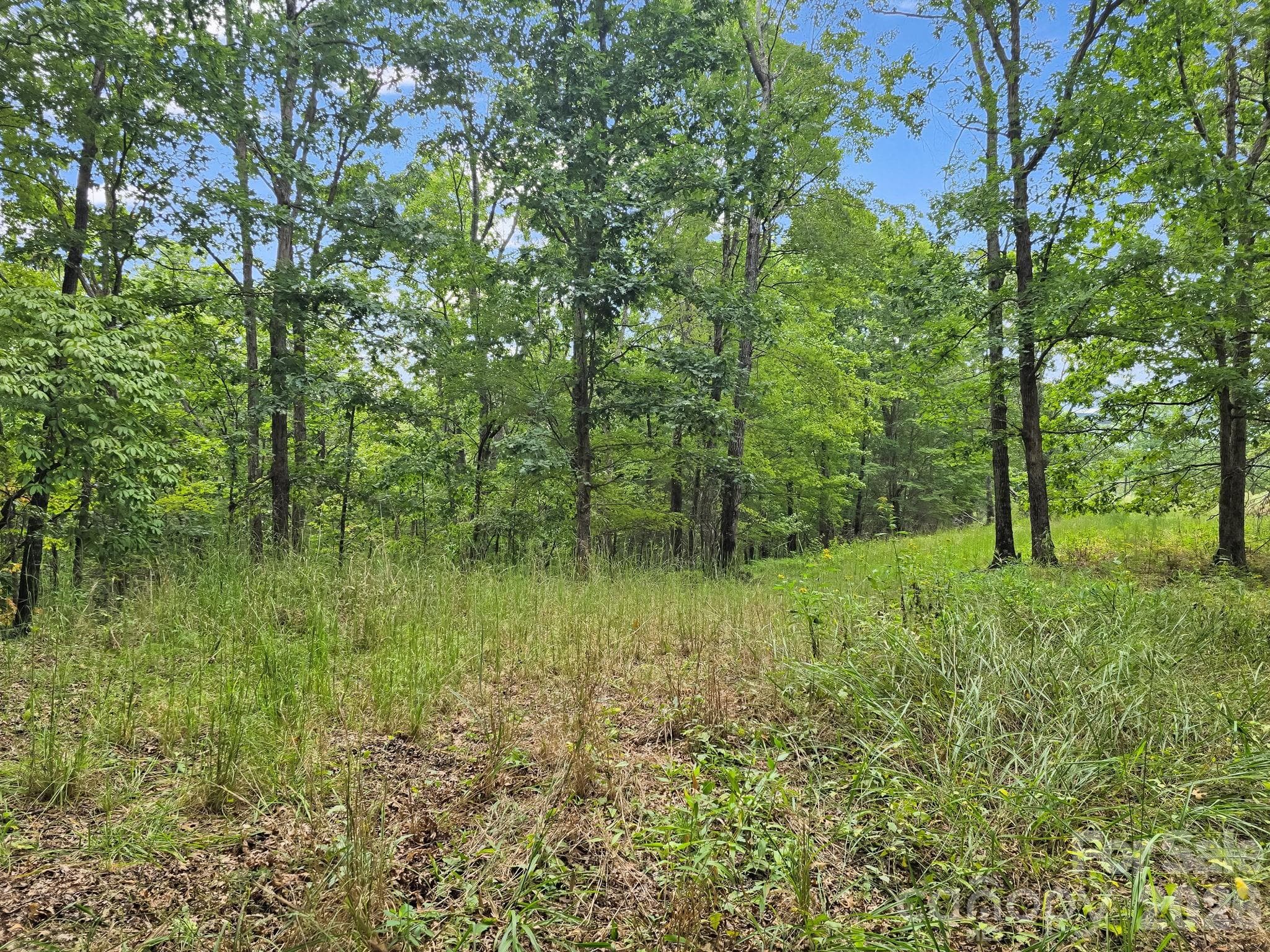Lower Vantage Point - TBD N Highland Farms Road, Mill Spring