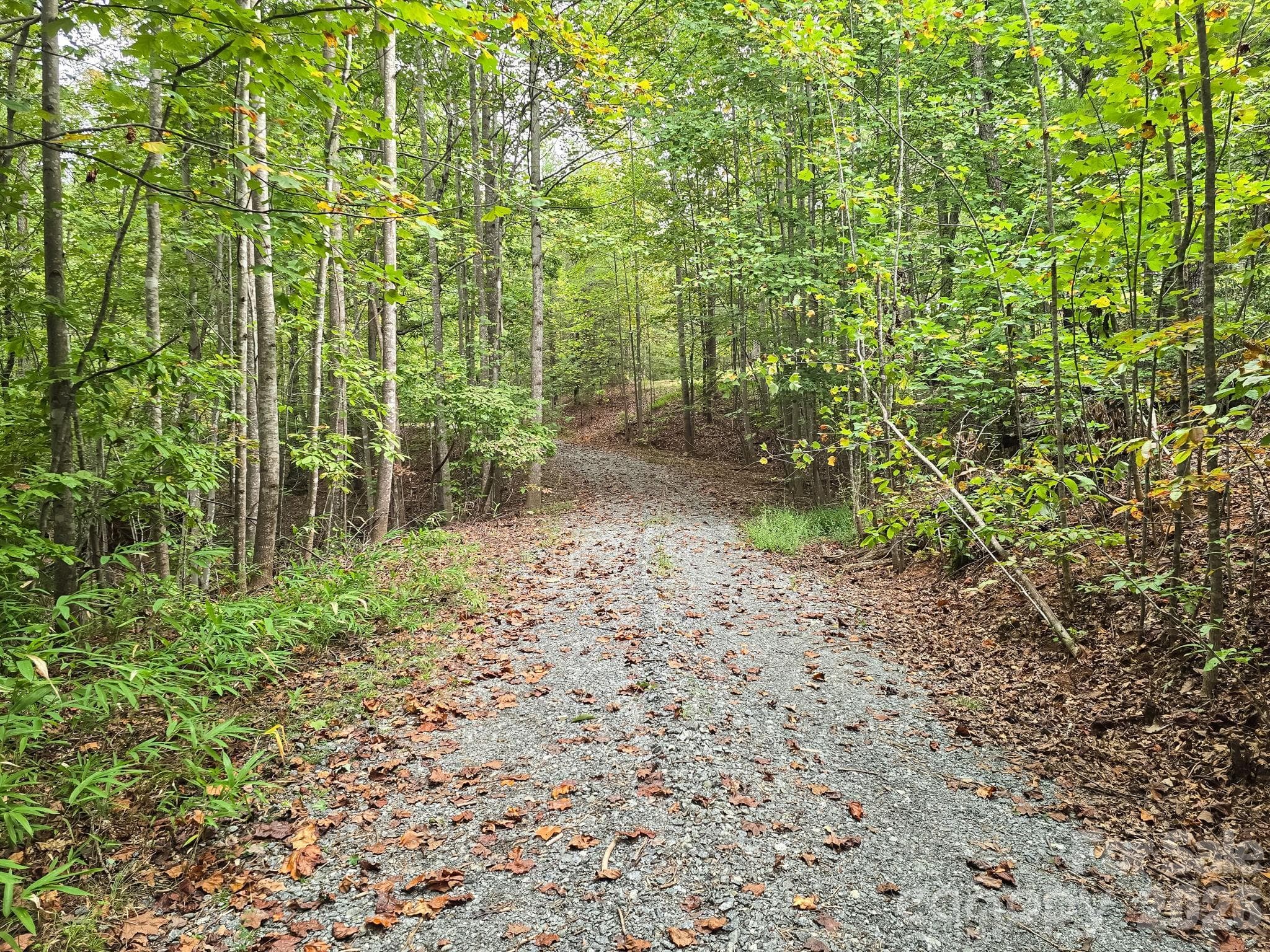 Driveway Angle 1 - TBD N Highland Farms Road, Mill Spring
