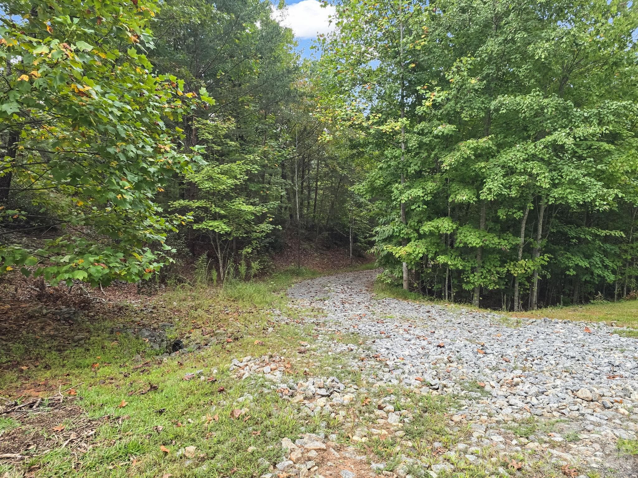 Driveway Angle 2 - TBD N Highland Farms Road, Mill Spring