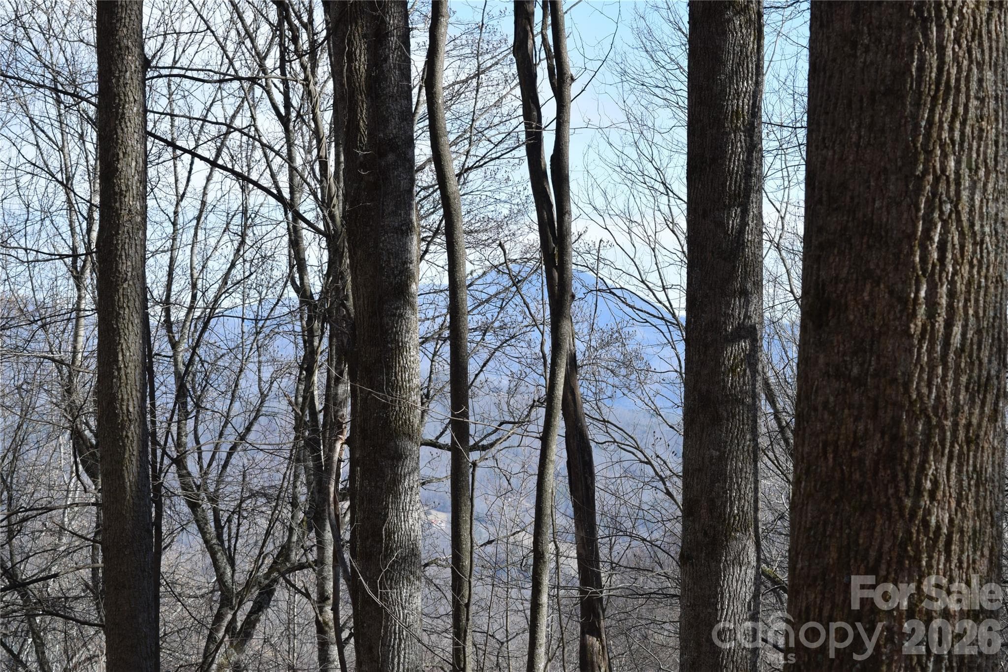 Facing north from Multiflora Way, possible mountain view - Waynesville