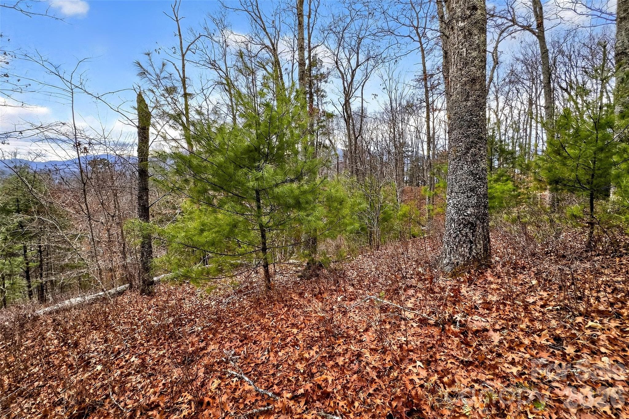 Lot at Marshall, photo 2 of 27