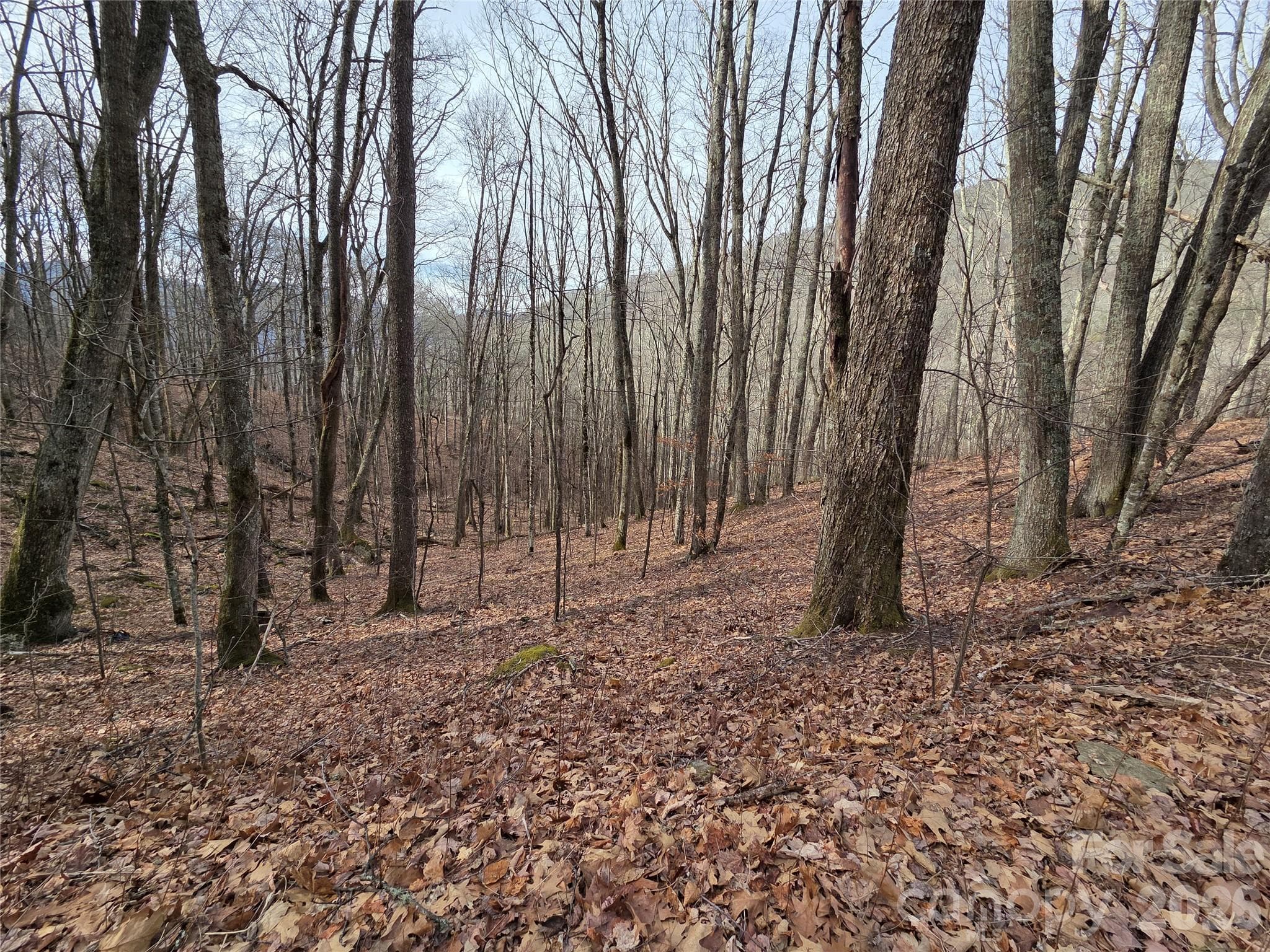 Lot at Buckeye Woodlands, Maggie Valley, photo 2 of 17