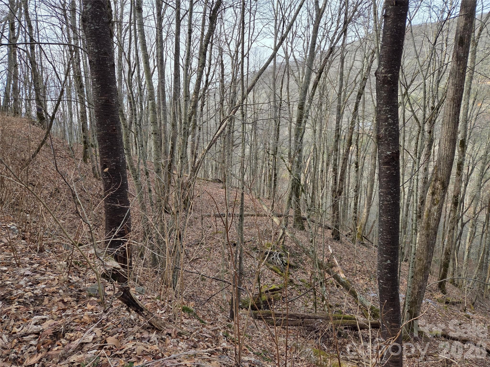 Lot at Buckeye Woodlands, Maggie Valley, photo 4 of 17