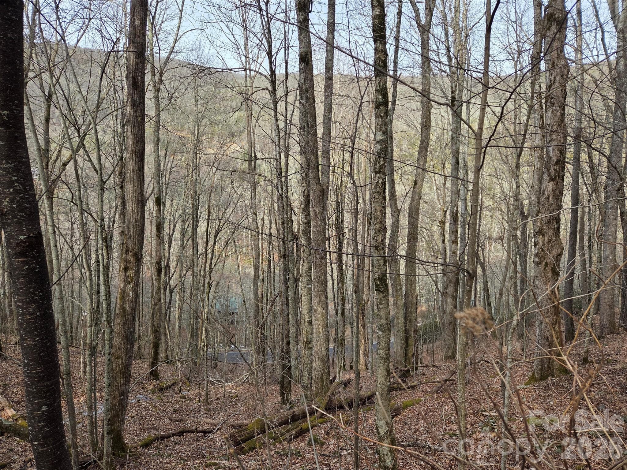 Lot at Buckeye Woodlands, Maggie Valley, photo 5 of 17