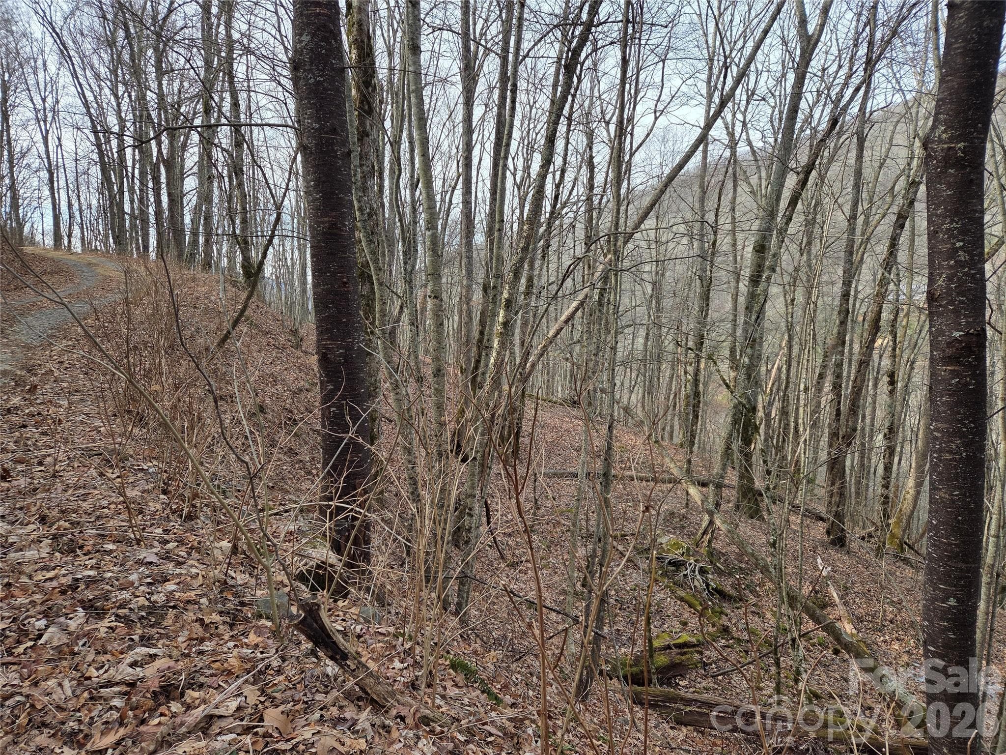Lot at Buckeye Woodlands, Maggie Valley, photo 6 of 17
