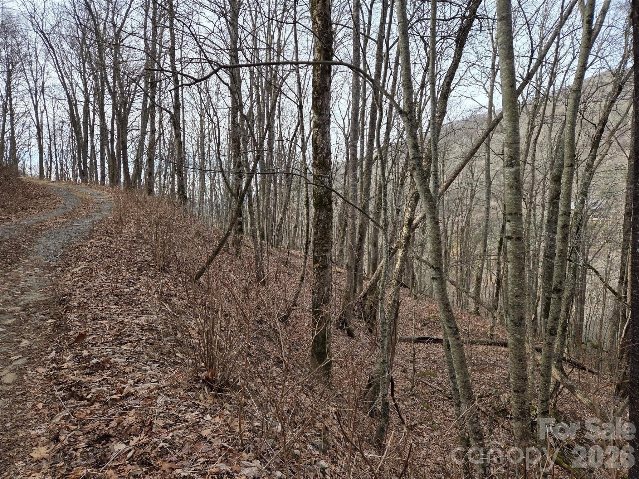 Lot at Buckeye Woodlands, Maggie Valley, photo 7 of 17