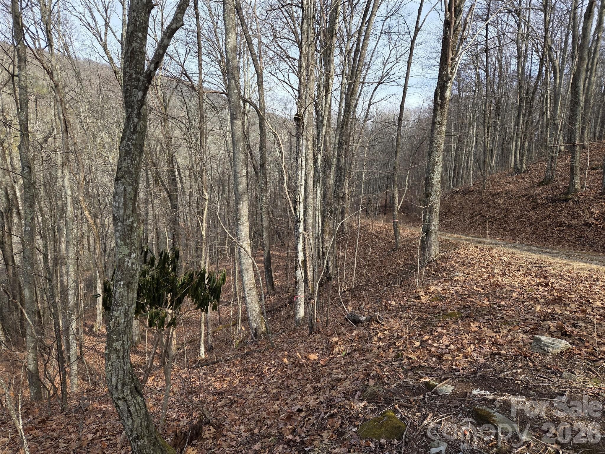 Lot at Buckeye Woodlands, Maggie Valley, photo 8 of 17