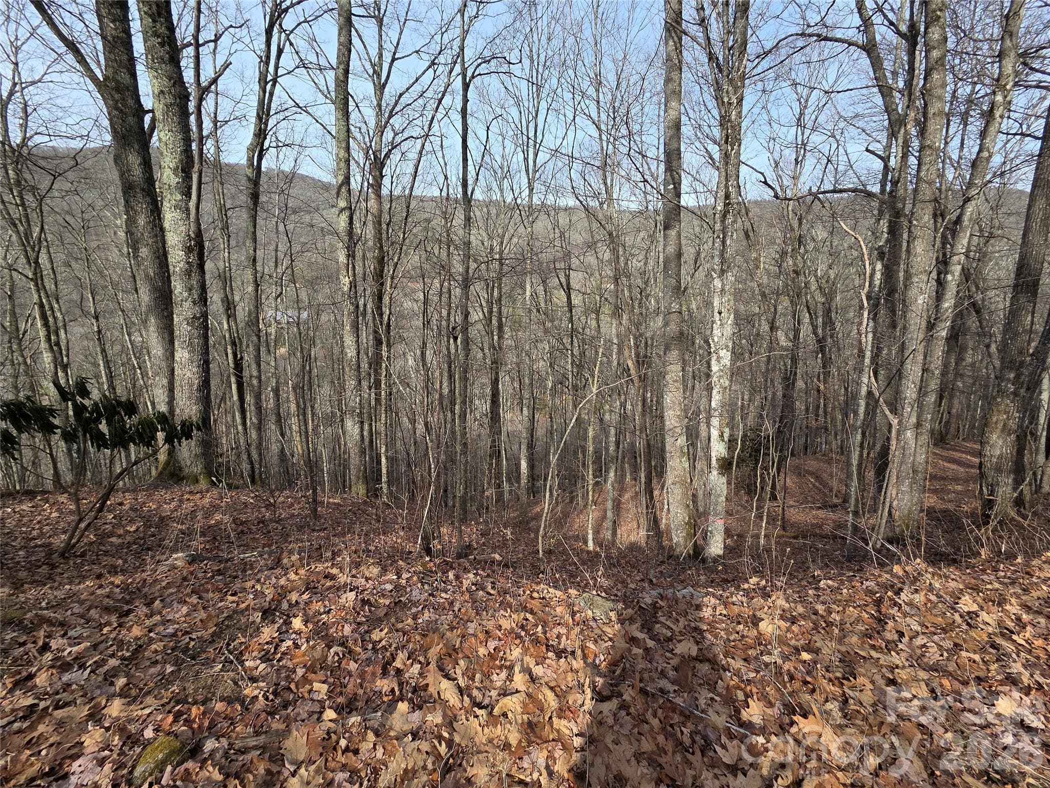 Lot at Buckeye Woodlands, Maggie Valley, photo 9 of 17