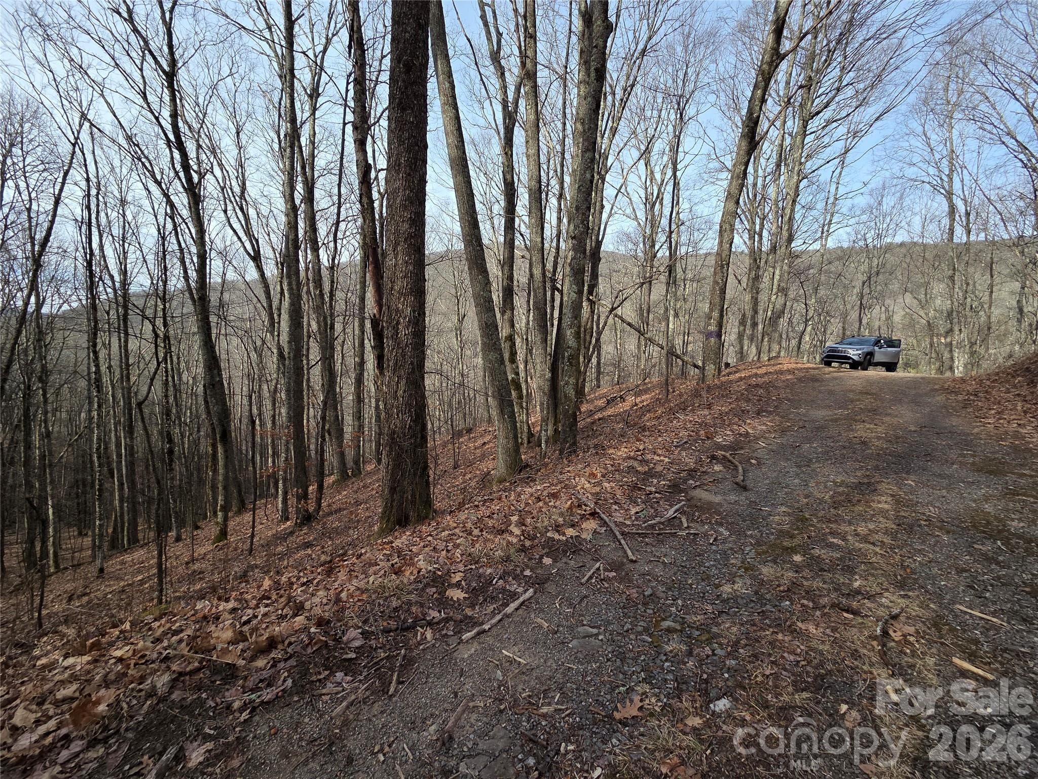 Lot at Buckeye Woodlands, Maggie Valley, photo 10 of 17