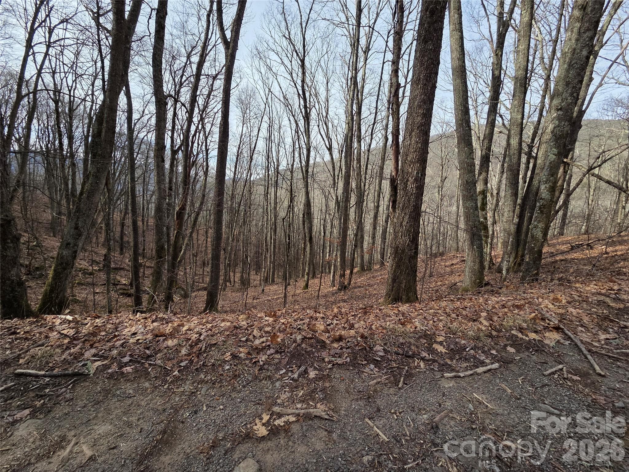 Lot at Buckeye Woodlands, Maggie Valley, photo 11 of 17