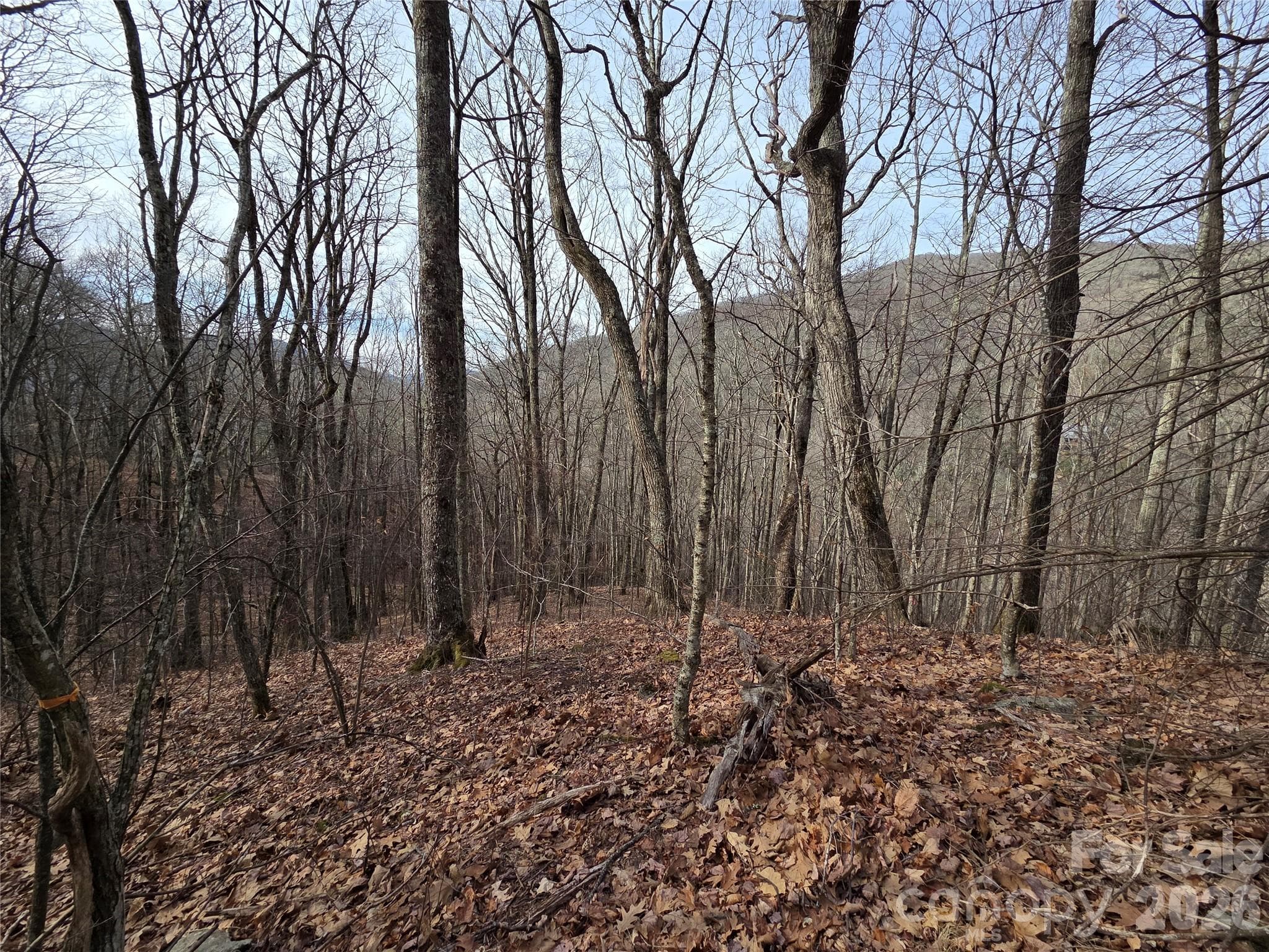 Lot at Buckeye Woodlands, Maggie Valley, photo 12 of 17