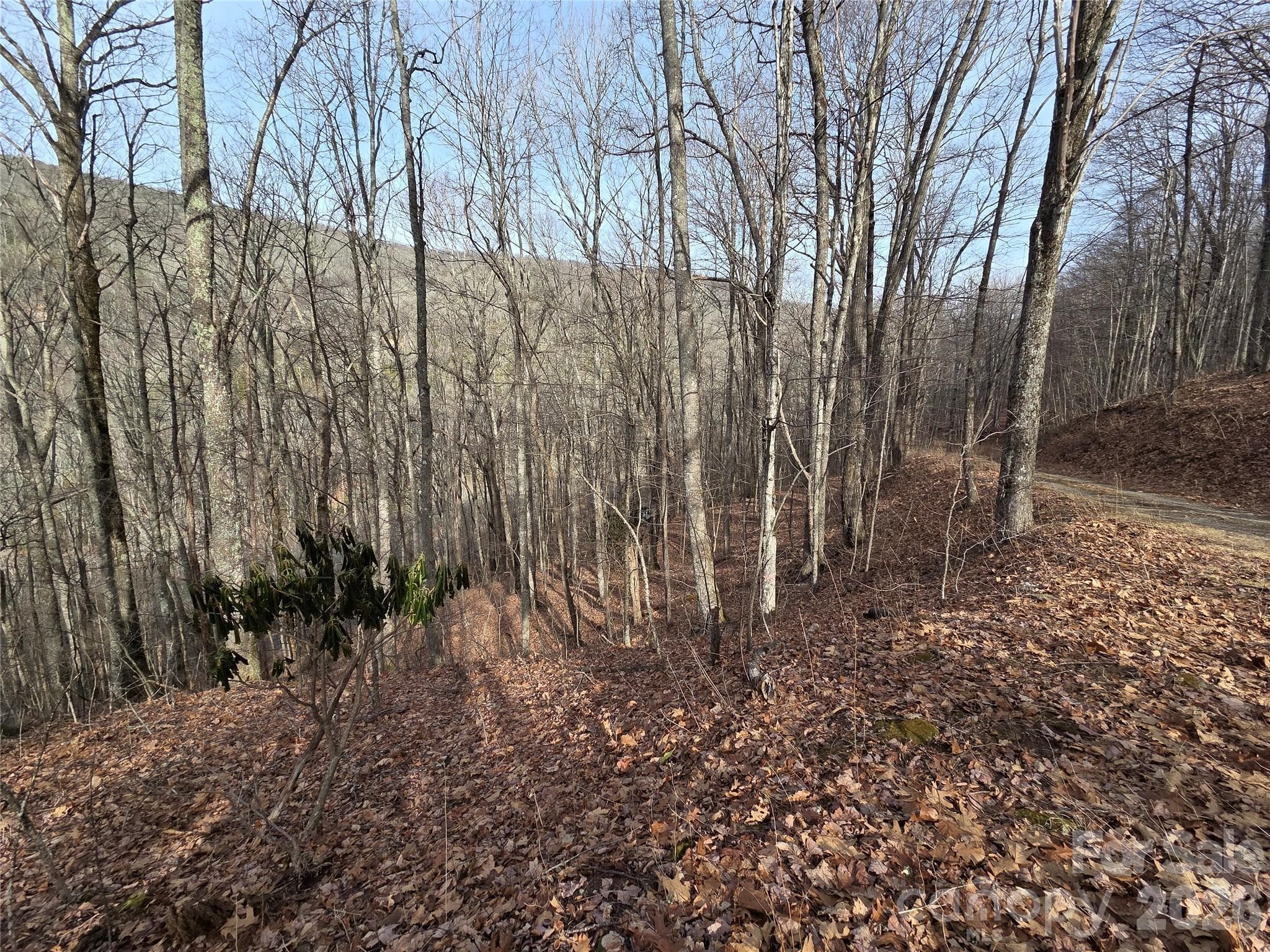 Lot at Buckeye Woodlands, Maggie Valley, photo 14 of 17