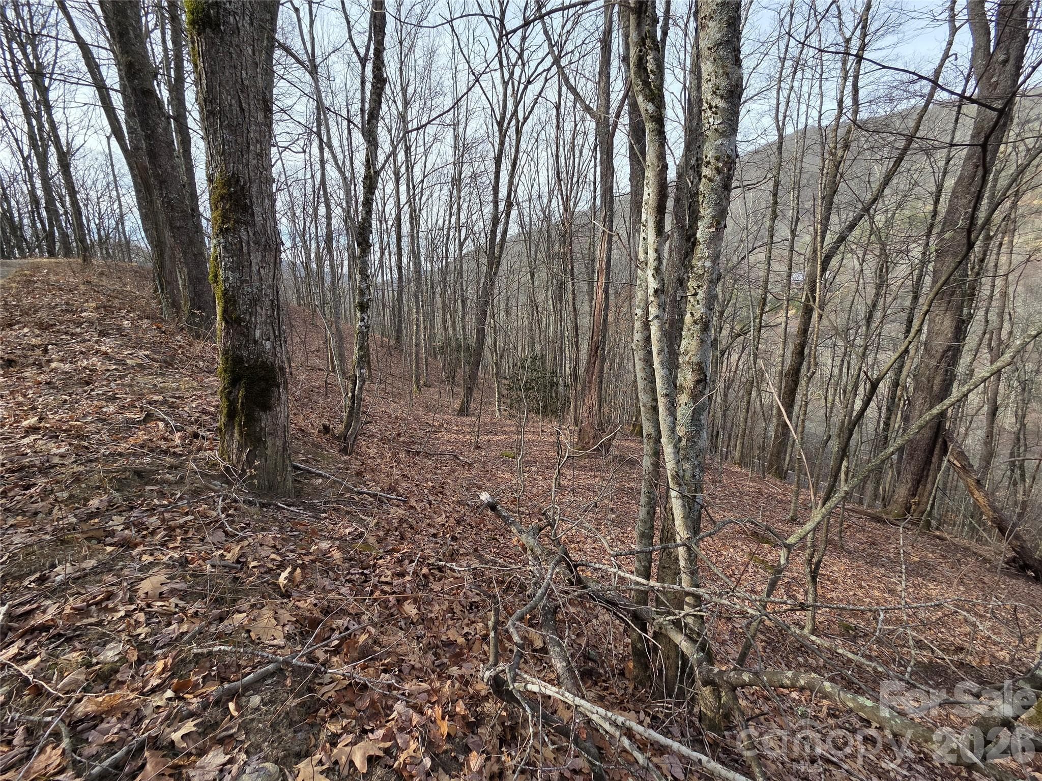 Lot at Buckeye Woodlands, Maggie Valley, photo 16 of 17