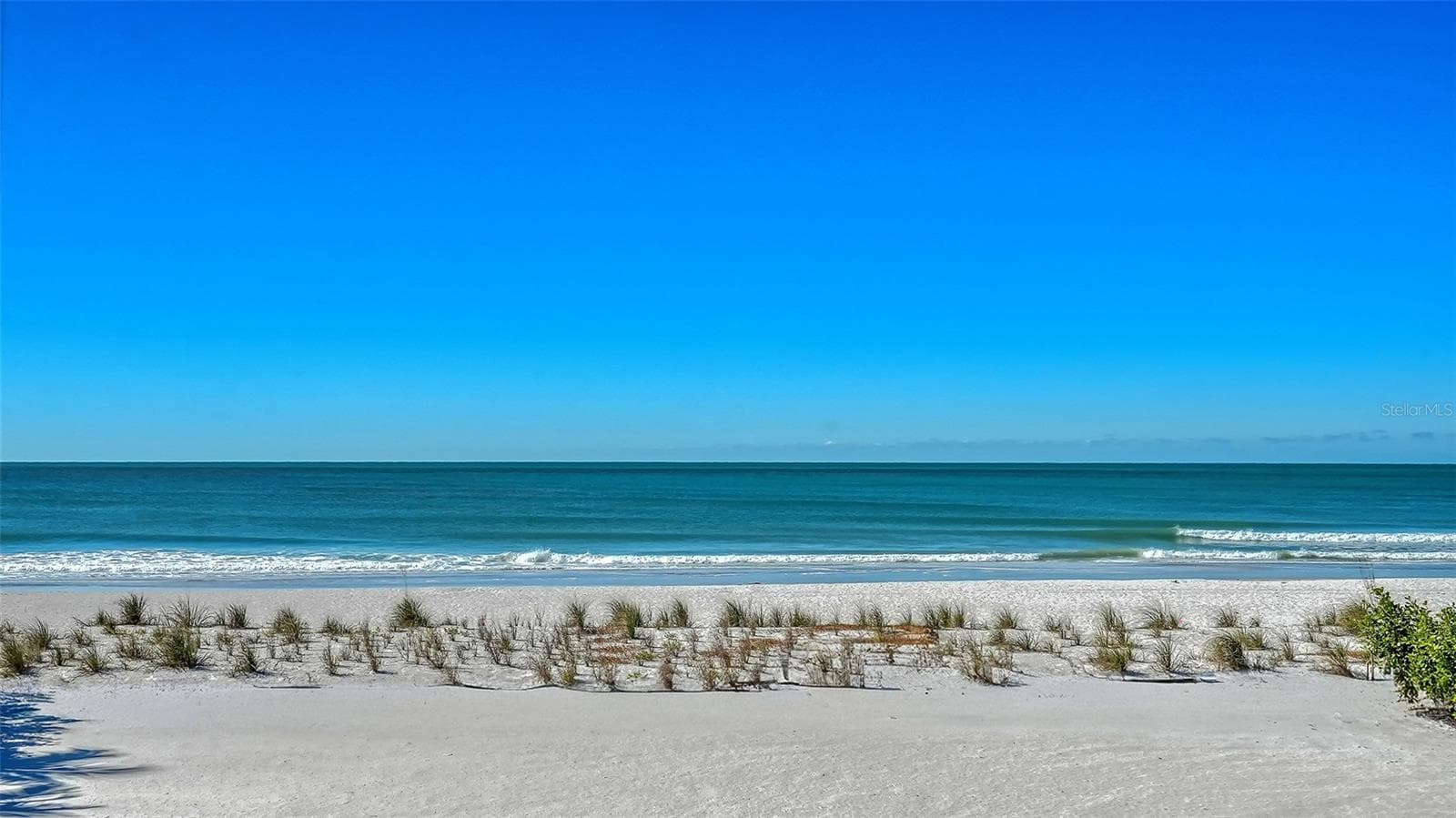 Your views from the resort style pool and spa - 6489 GULFSIDE RD, LONGBOAT KEY