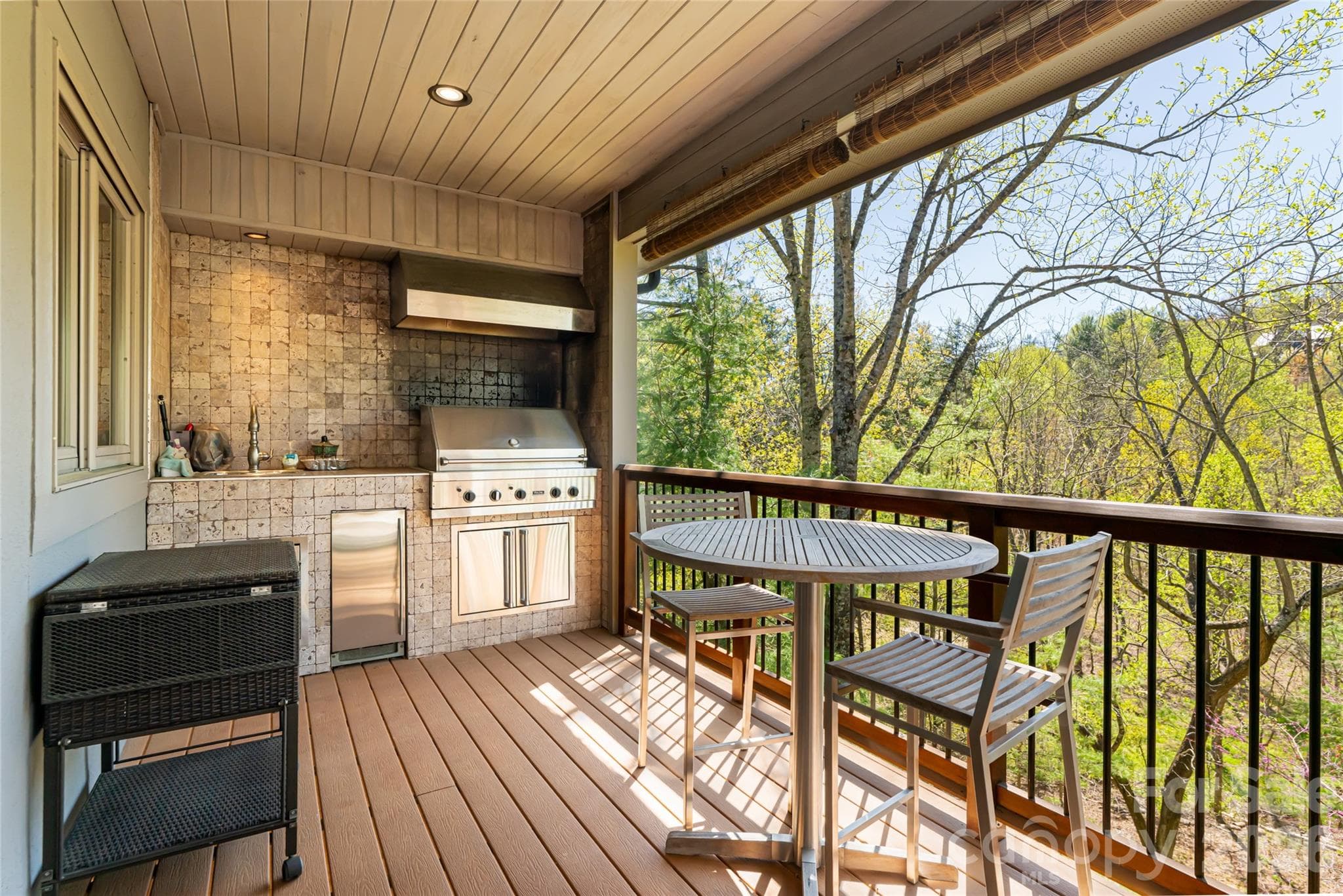 Single Family Residence at 256 Senator Reynolds Road, Asheville, photo 33 of 48