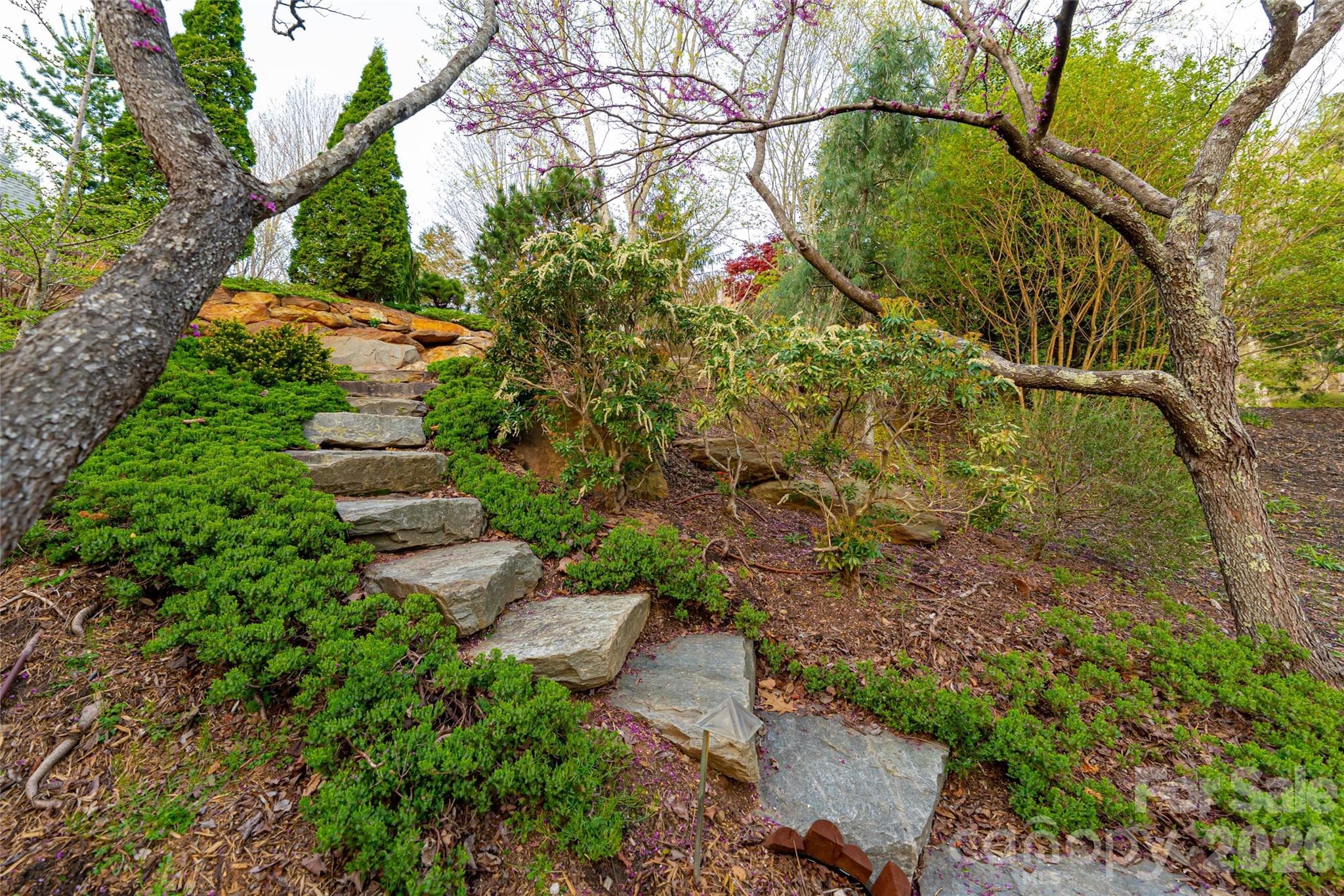 Single Family Residence at 256 Senator Reynolds Road, Asheville, photo 39 of 48