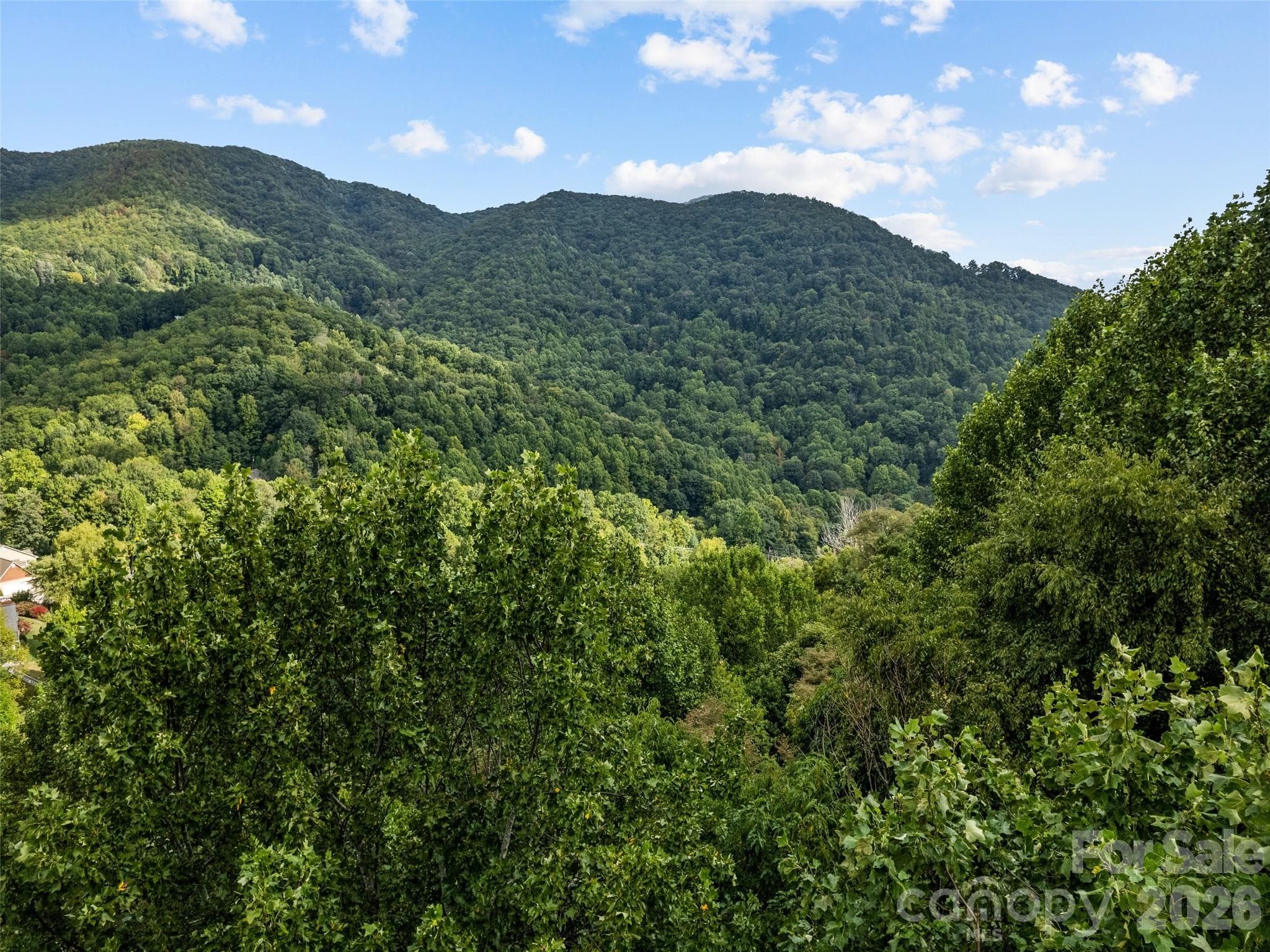 Lot at Waynesville, photo 8 of 9