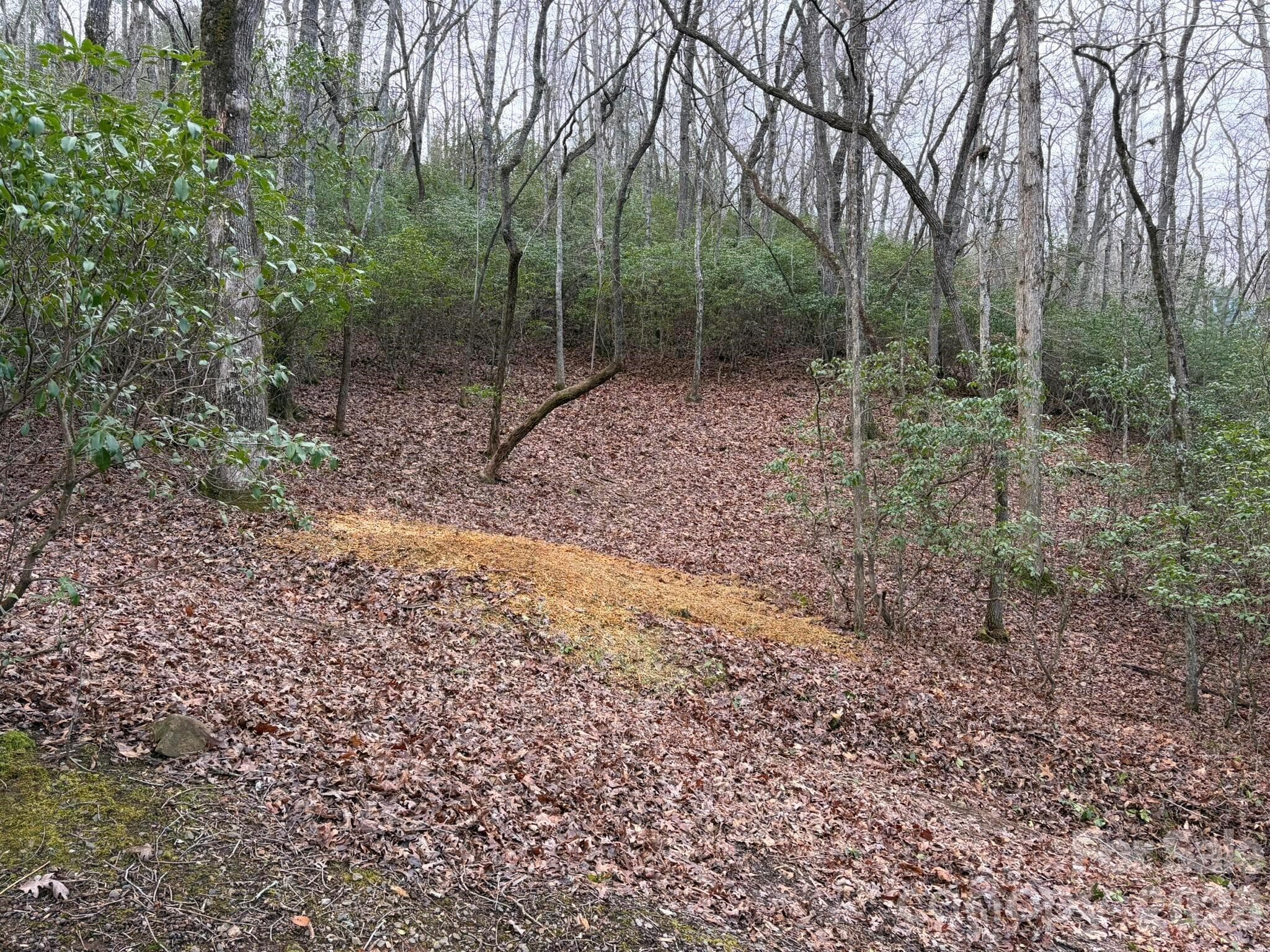 Lot at 0 Crescent Ridge, Franklin, photo 5 of 9
