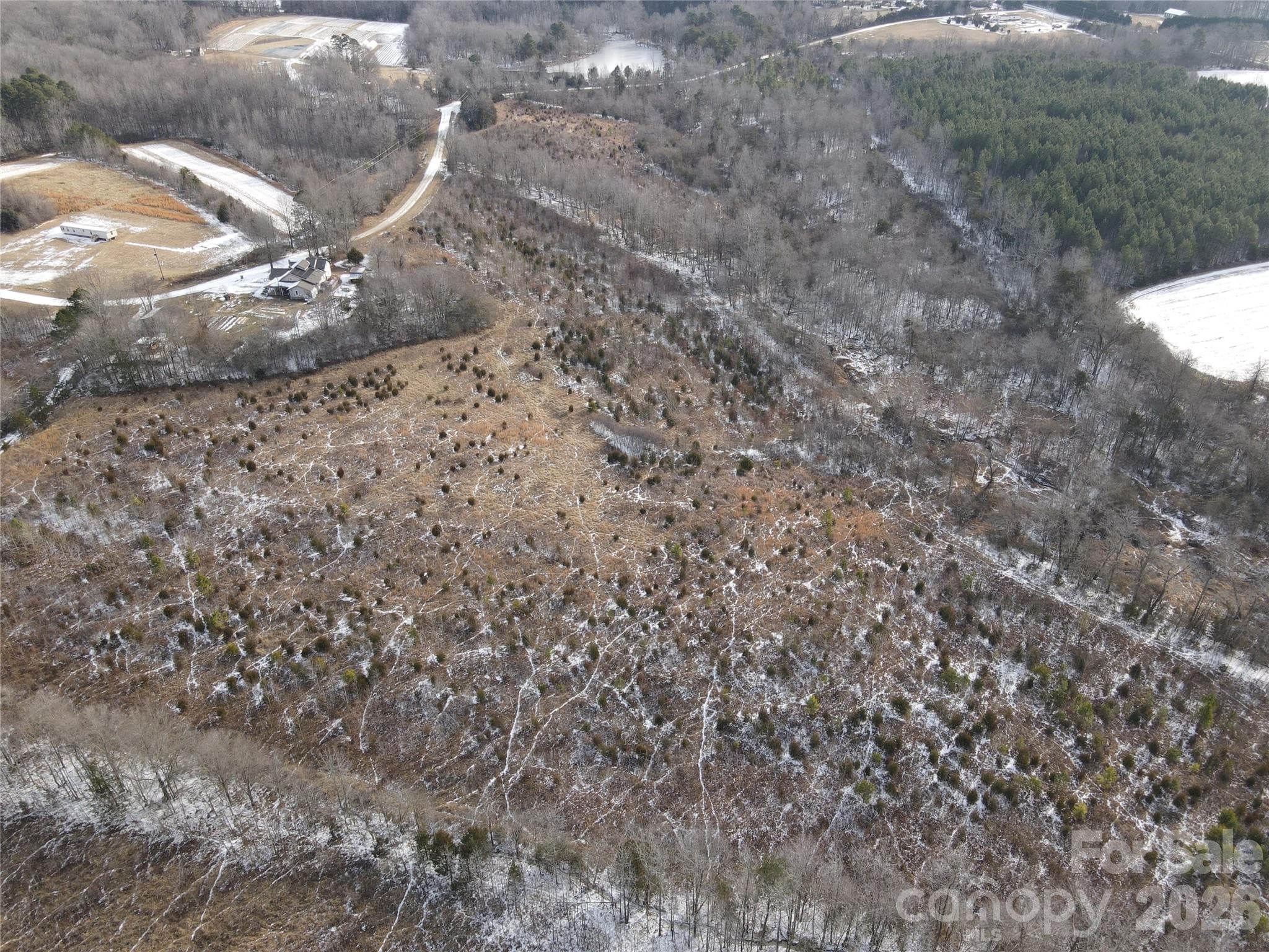 Acreage at 00 Oakley Road, Cedar Grove, photo 10 of 32