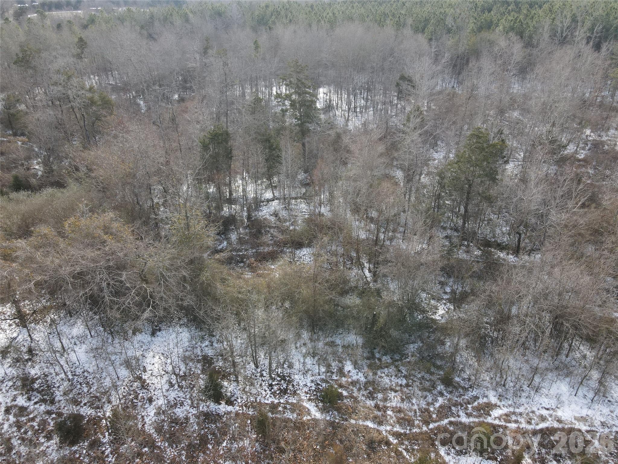 Acreage at 00 Oakley Road, Cedar Grove, photo 19 of 32