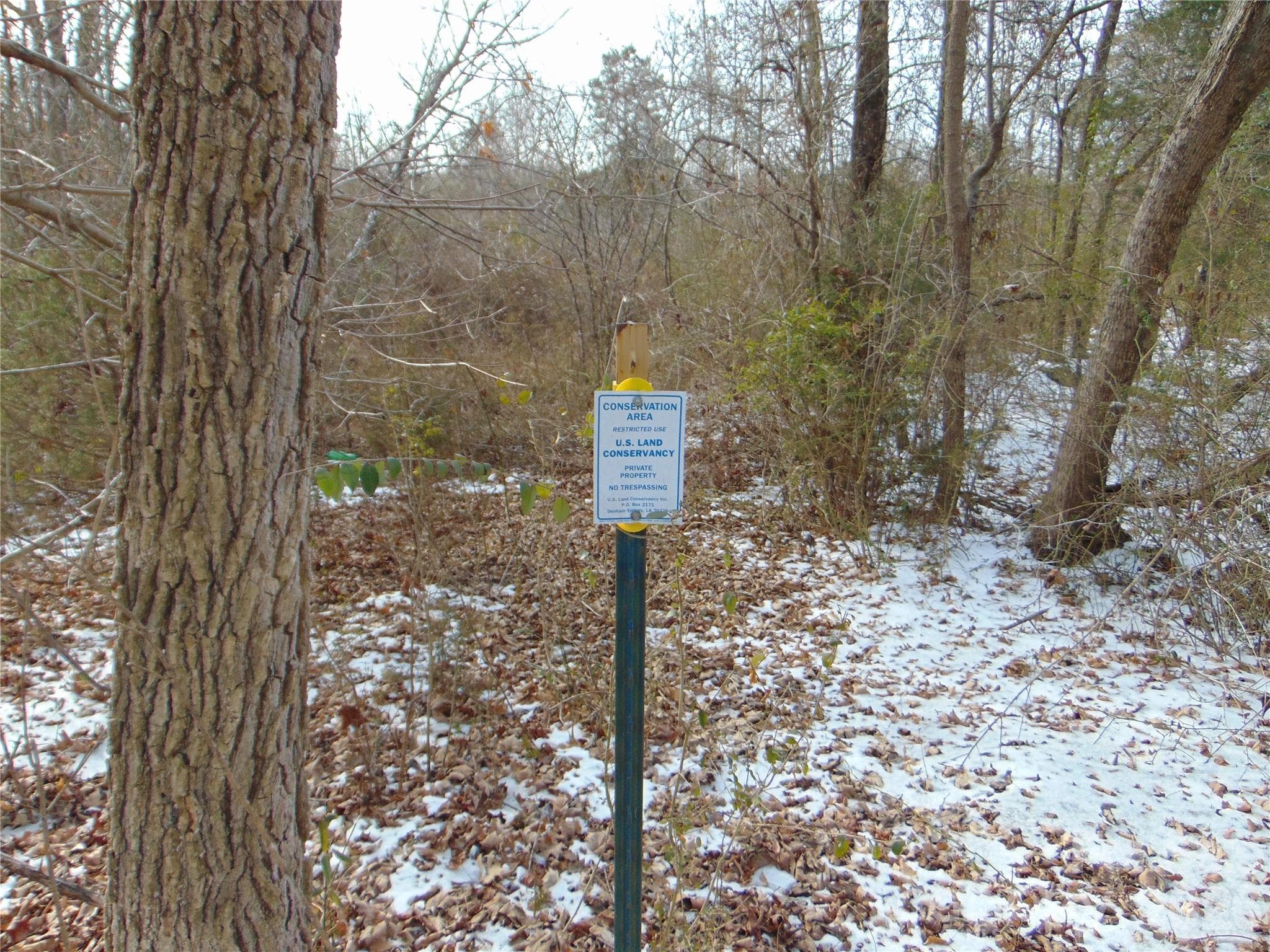 Acreage at 00 Oakley Road, Cedar Grove, photo 25 of 32