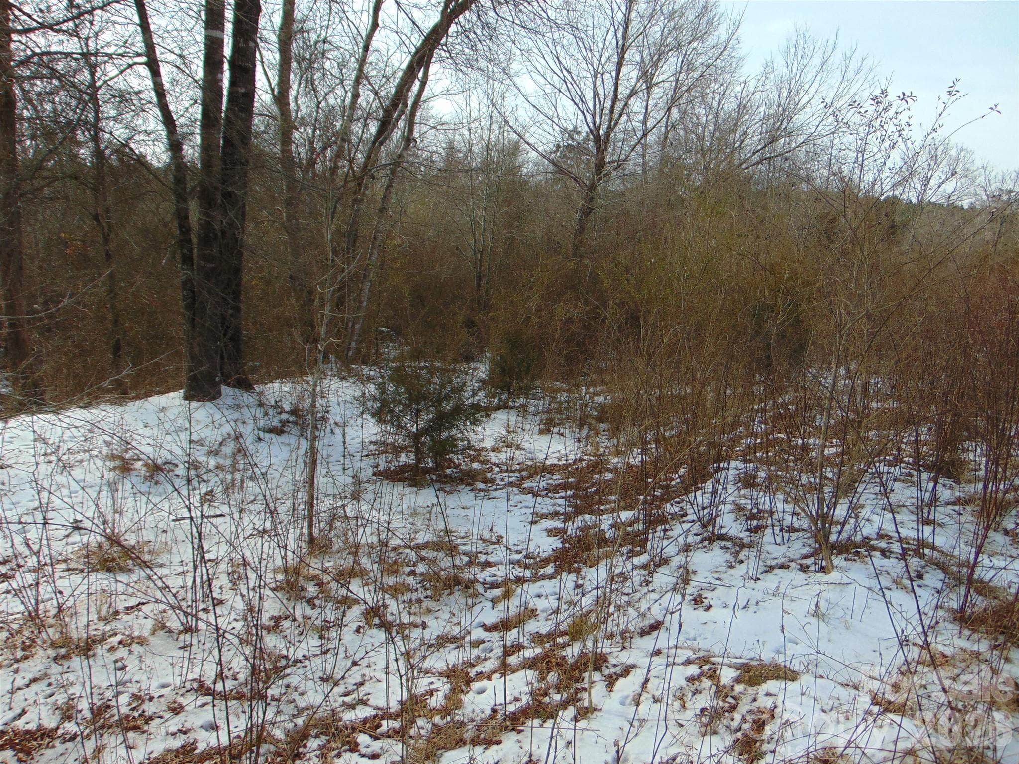Acreage at 00 Oakley Road, Cedar Grove, photo 26 of 32