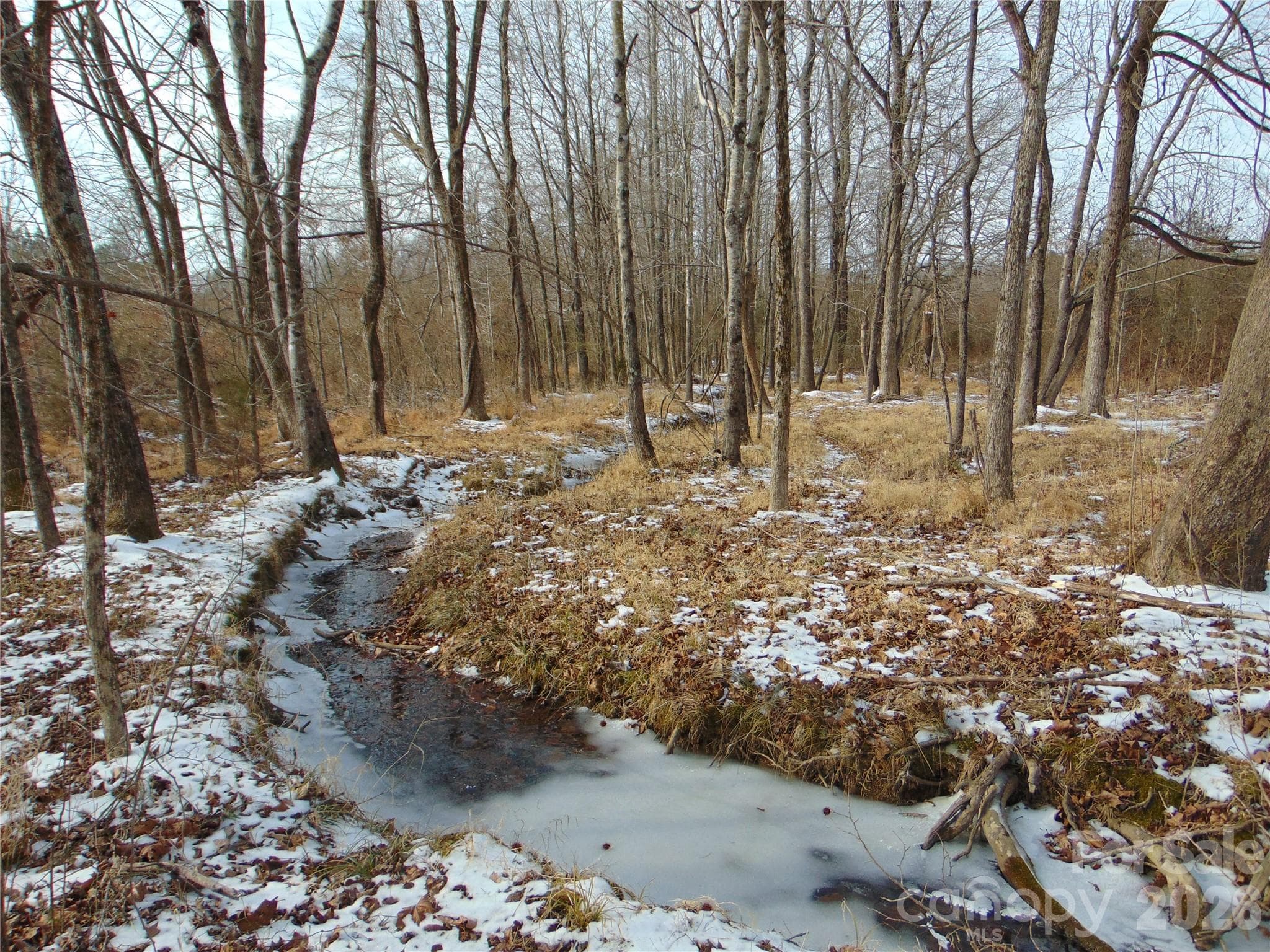 Acreage at 00 Oakley Road, Cedar Grove, photo 28 of 32