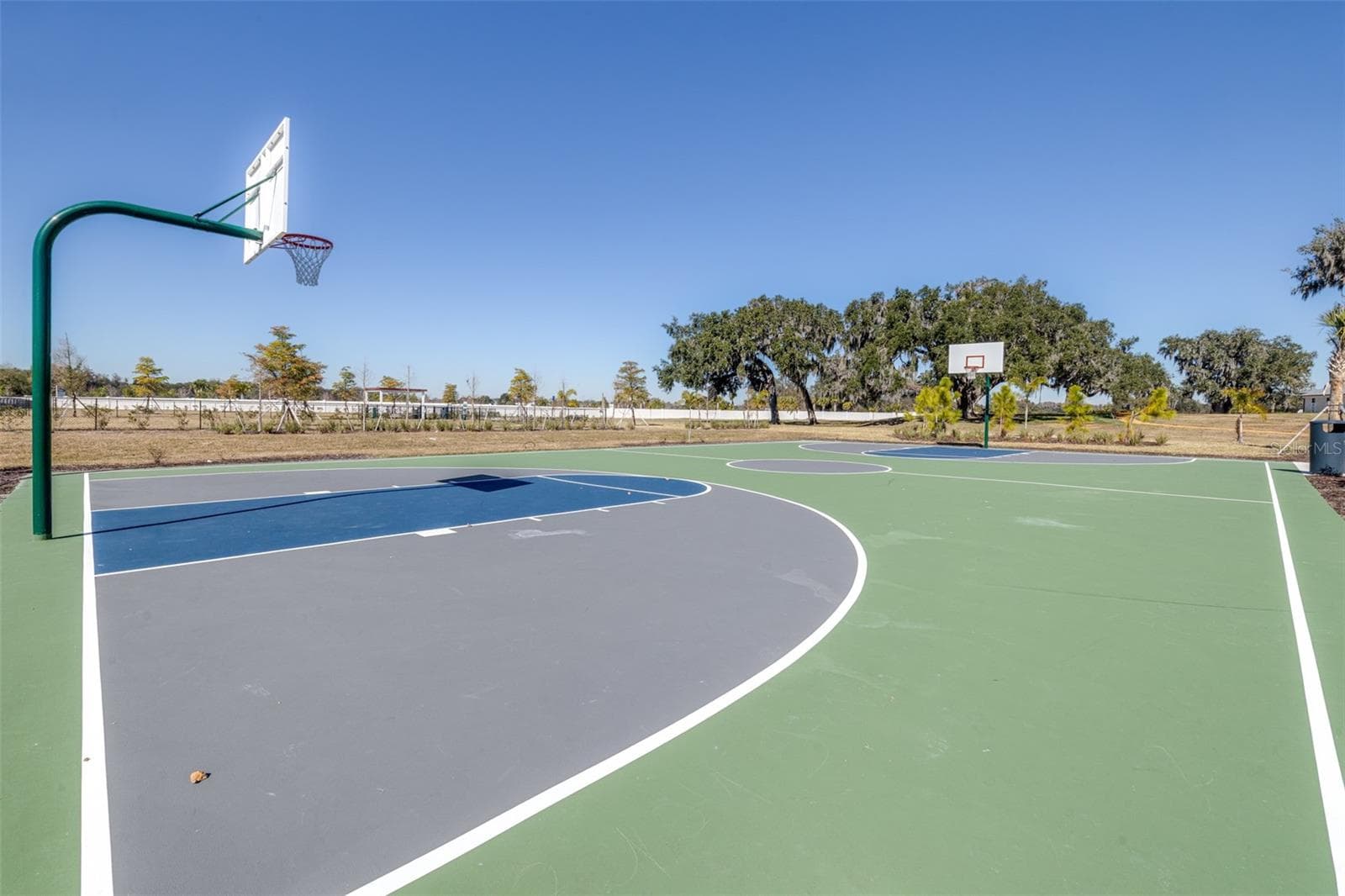 Basketball Court - 2707 VIRGINIA PINE DR, BARTOW