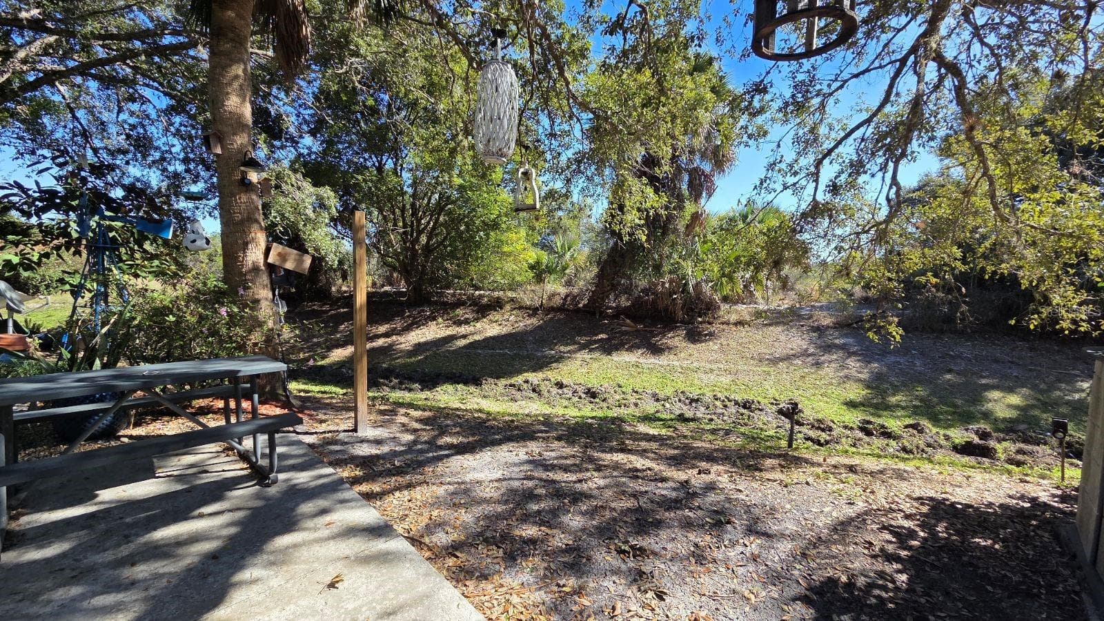 Land at 174 APPALOOSA TRL, RIVER RANCH, photo 7 of 20
