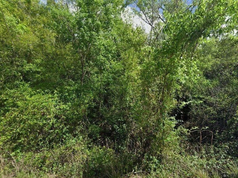 View of lot - 8115 SW HORSE CREEK RD, ARCADIA