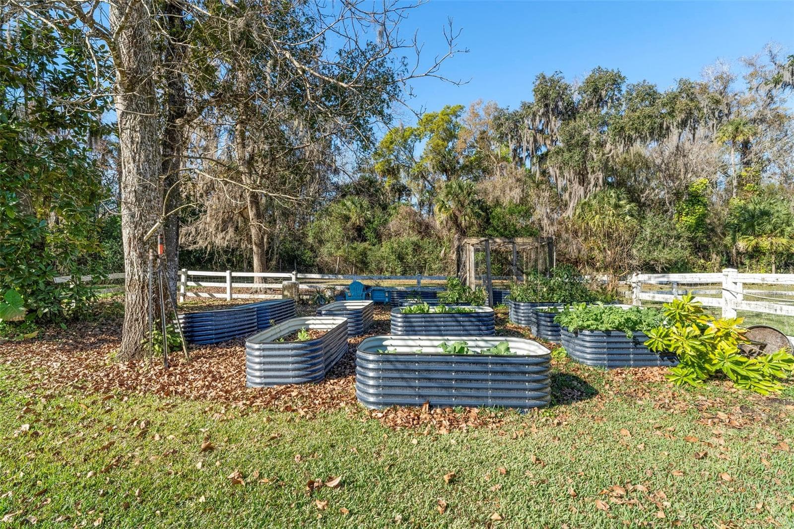 Raised Garden Beds - 3080 RAGIS RD, EDGEWATER