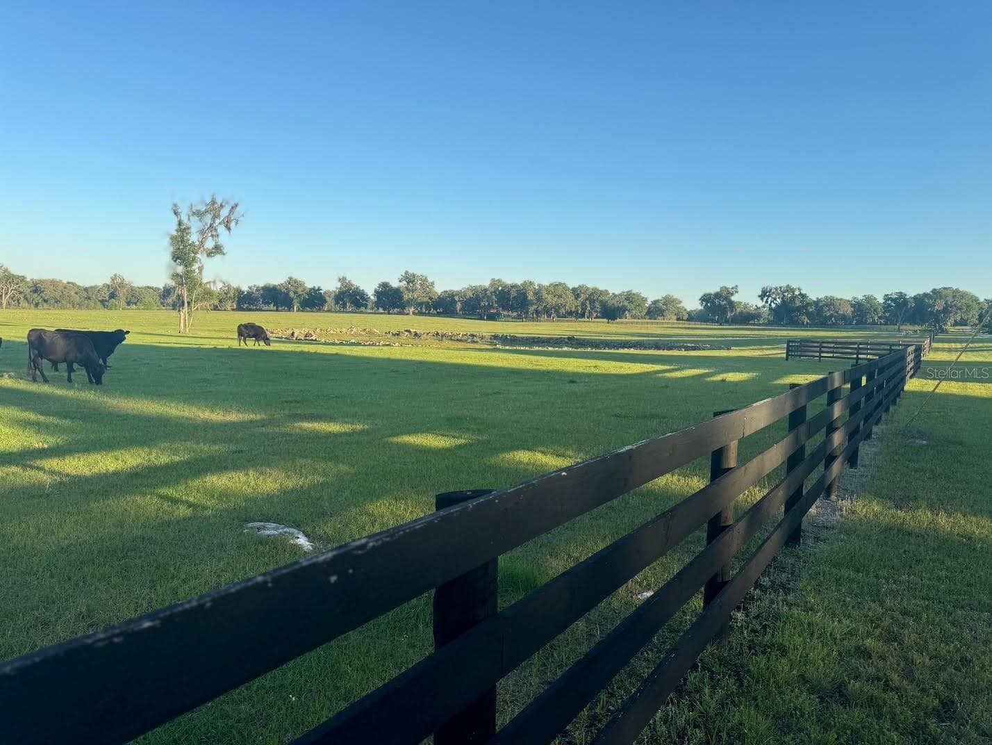 Land at NW 160 AVE, MORRISTON, photo 6 of 8