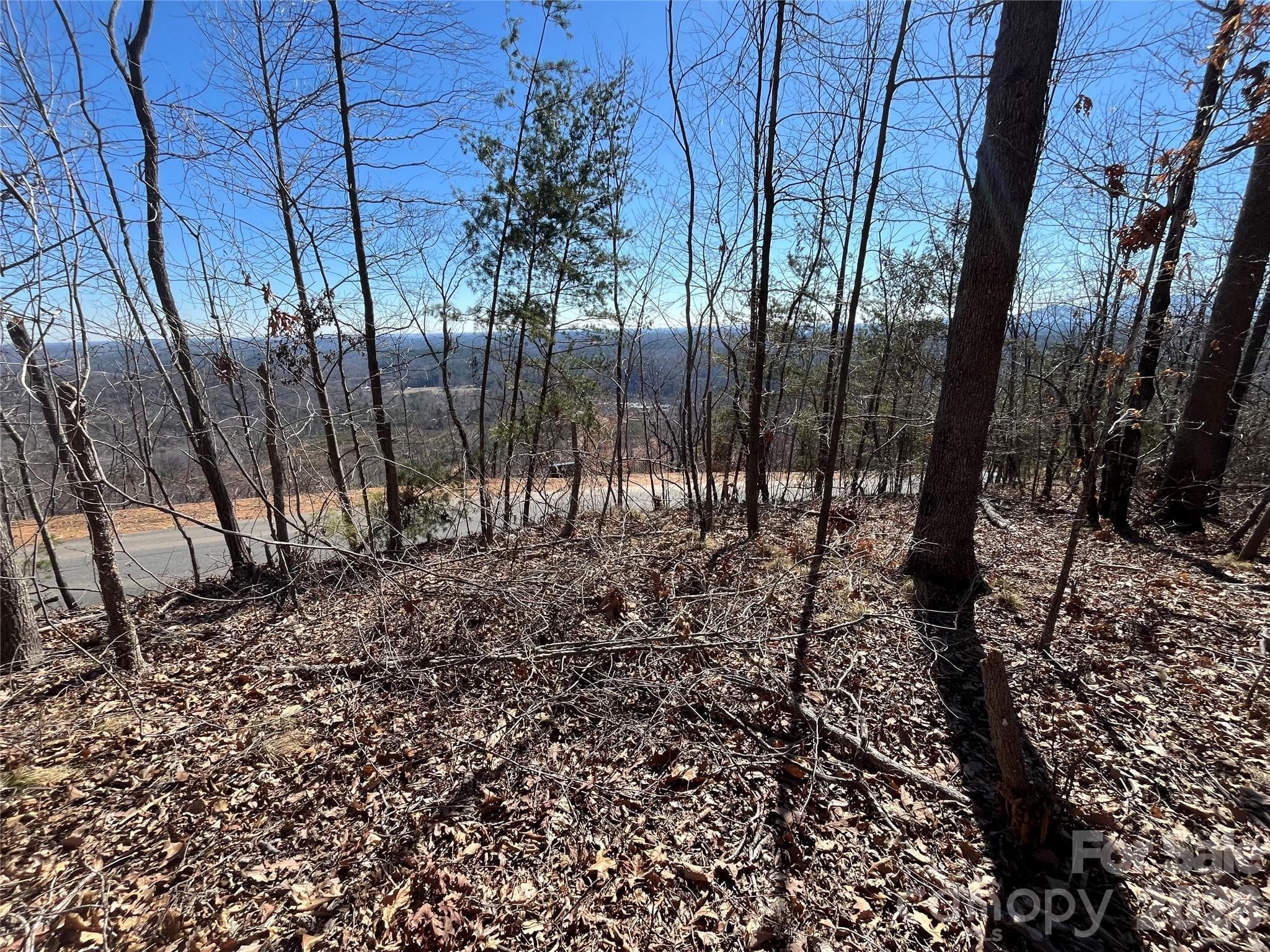 YEAR ROUND MOUNTAIN VIEWS - Lake Lure