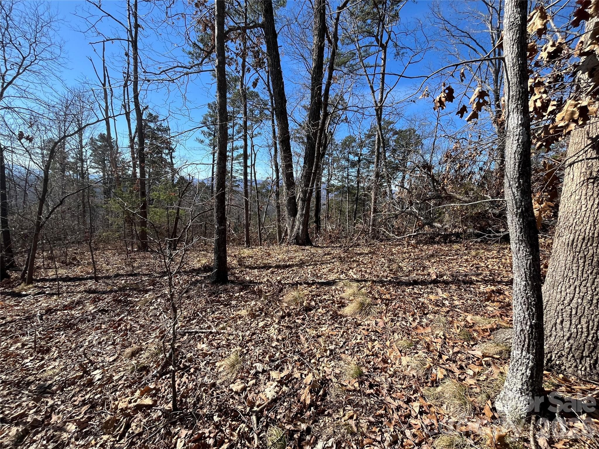 STUNNING POTENTIAL BUILDING SITE - Lake Lure