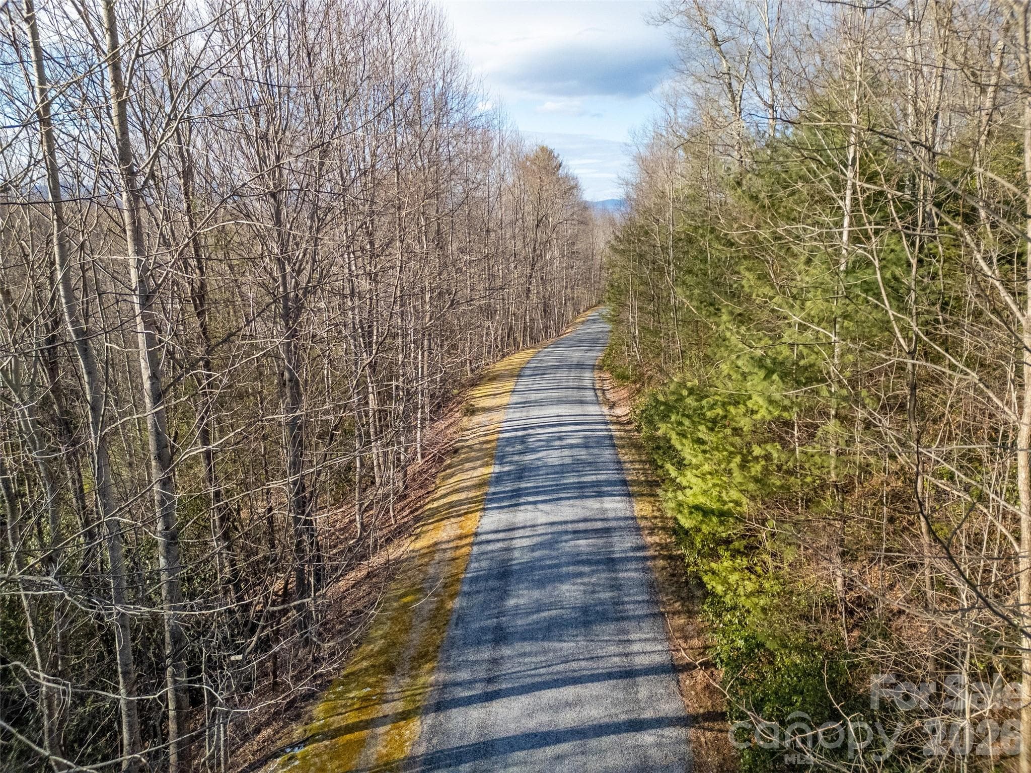 Lot at Brevard, photo 5 of 12