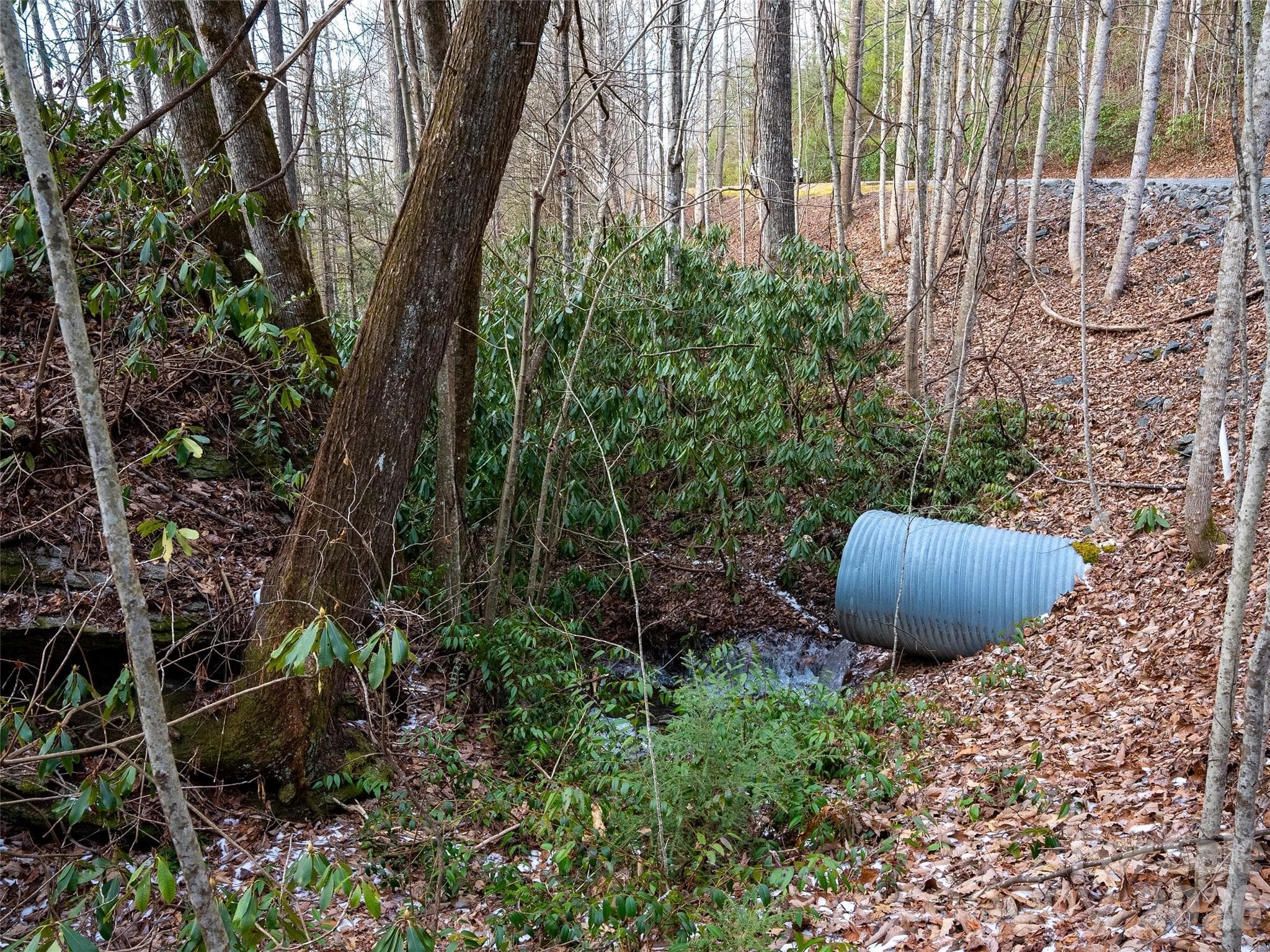 Lot at Brevard, photo 6 of 12