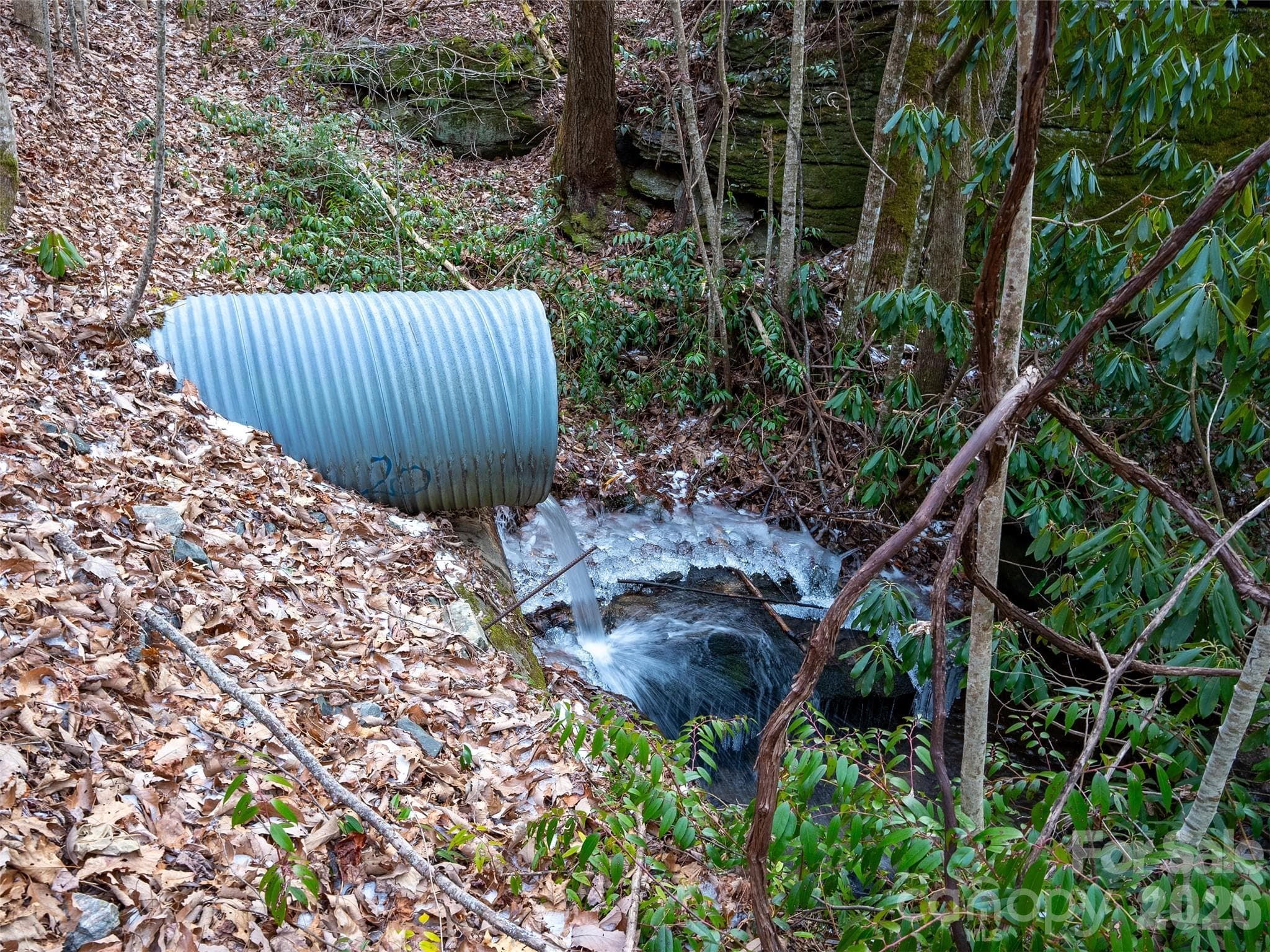 Lot at Brevard, photo 7 of 12