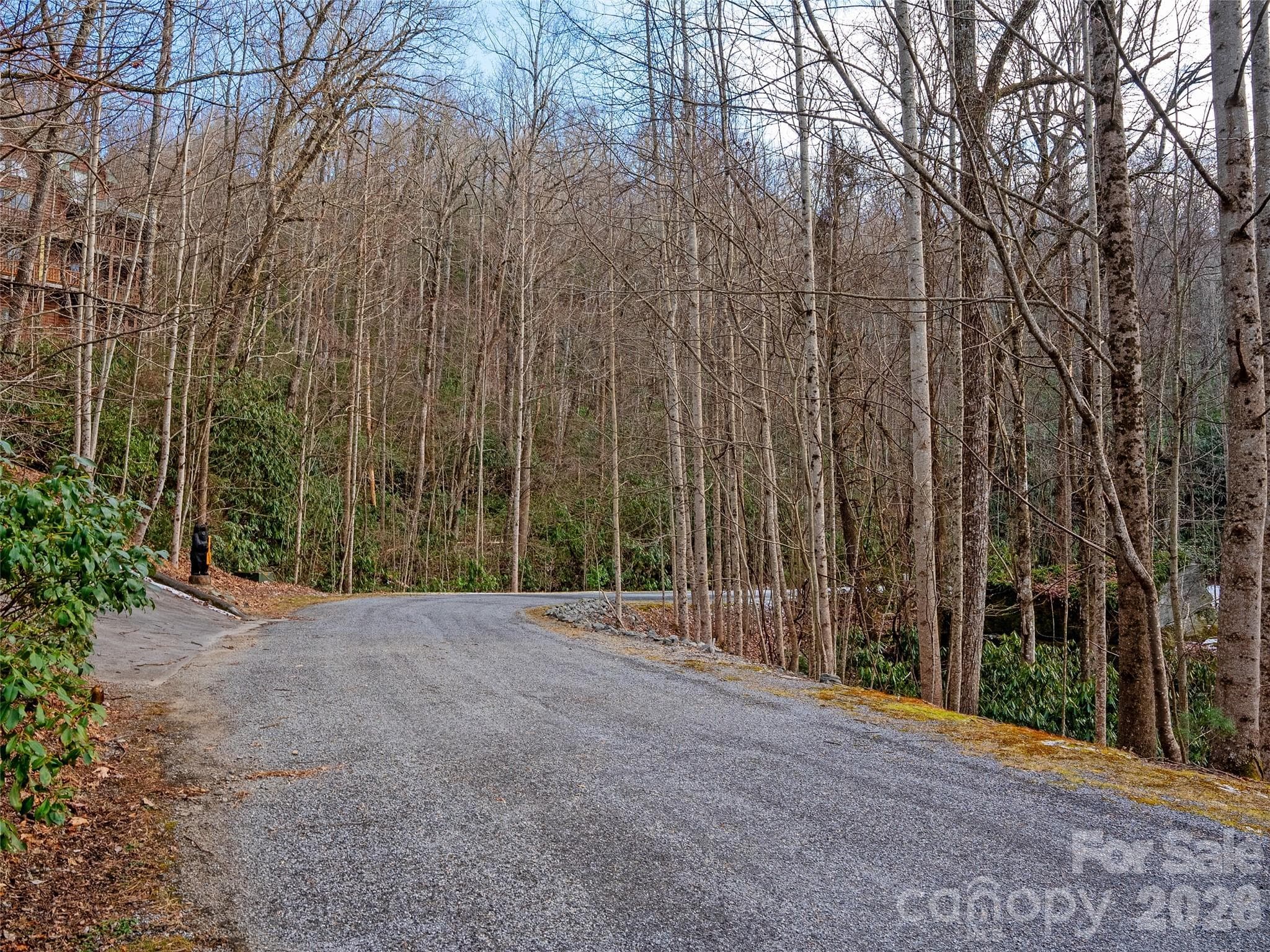 Lot at Brevard, photo 8 of 12