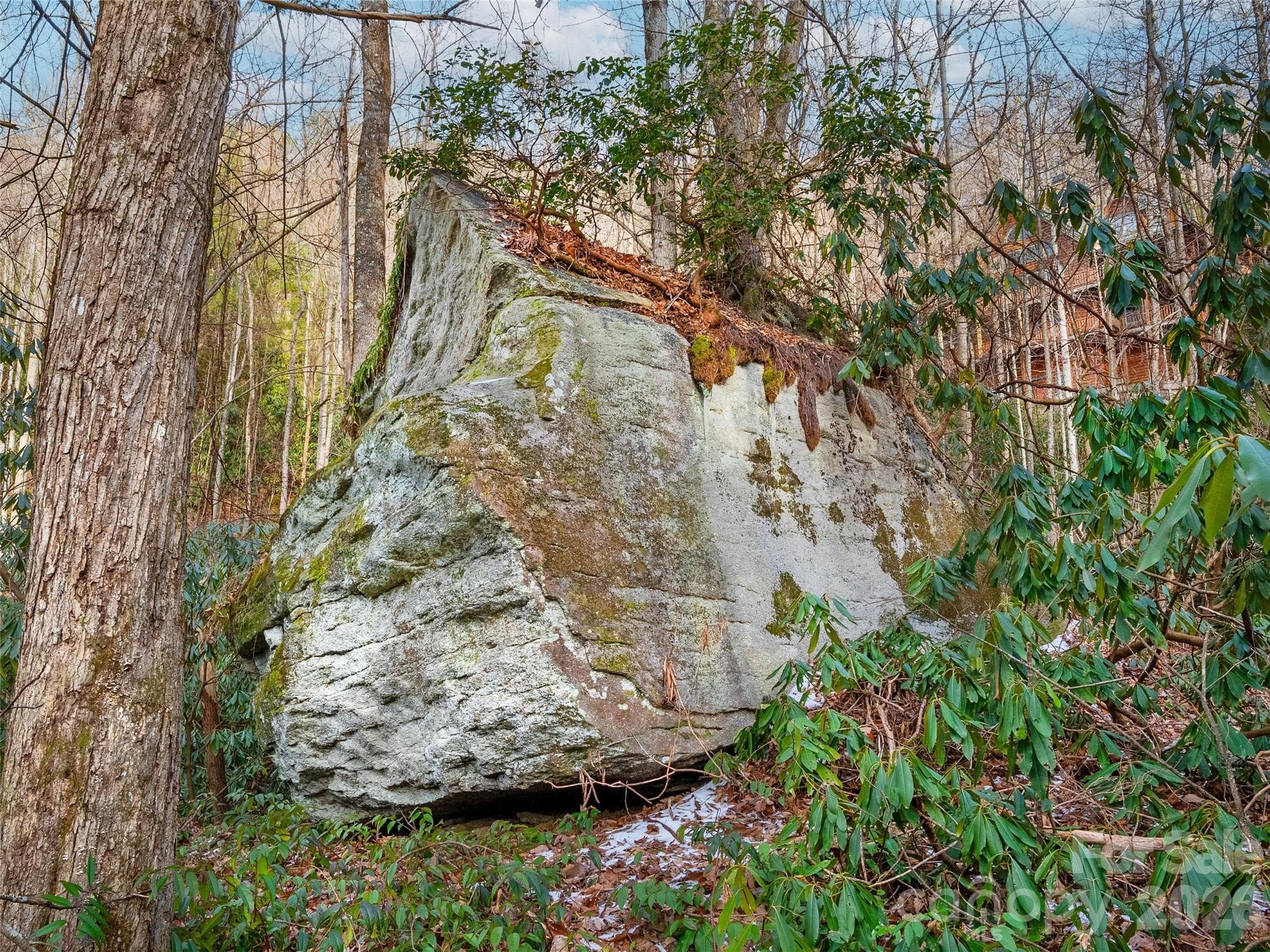Lot at Brevard, photo 9 of 12