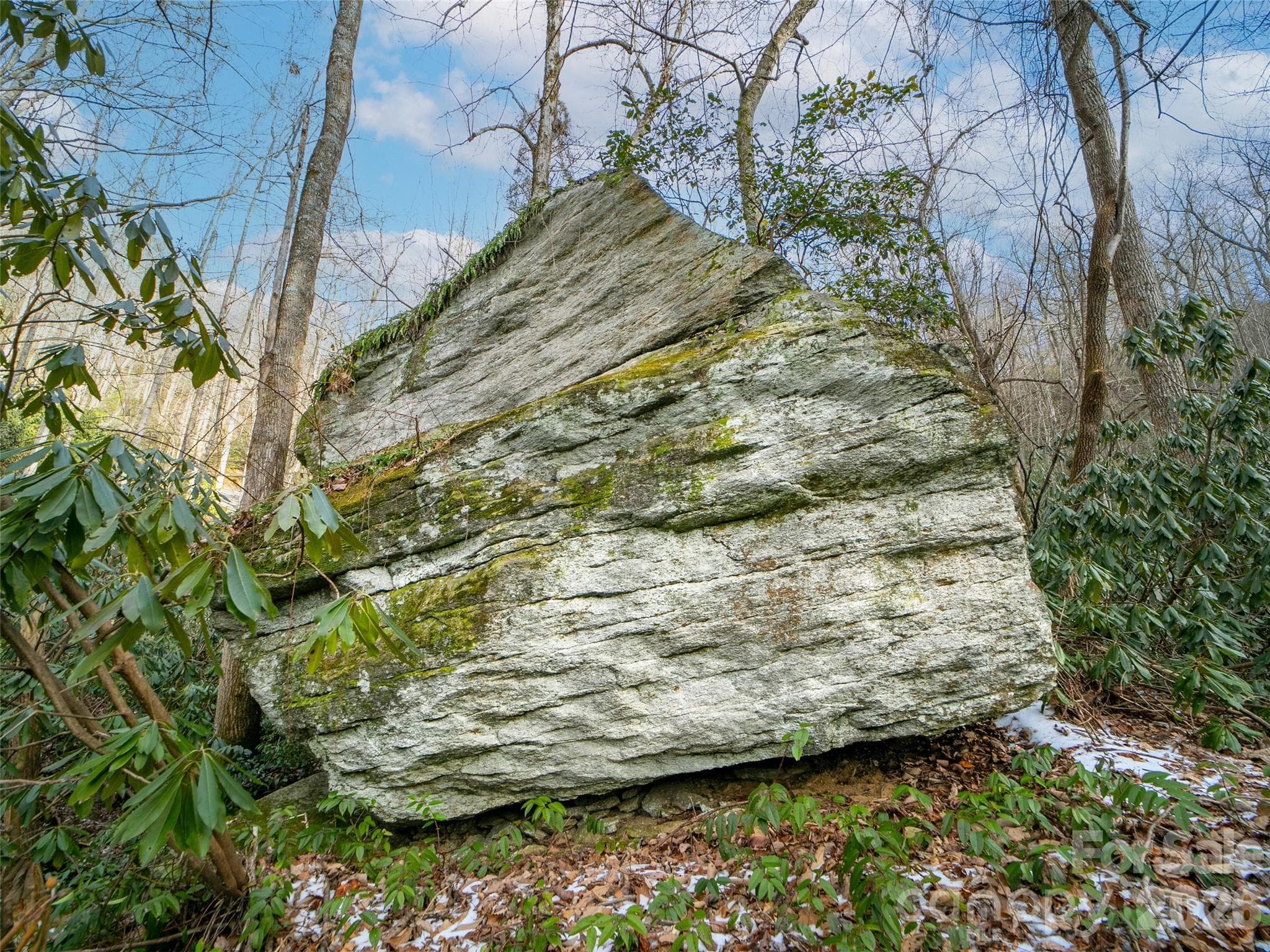 Lot at Brevard, photo 10 of 12