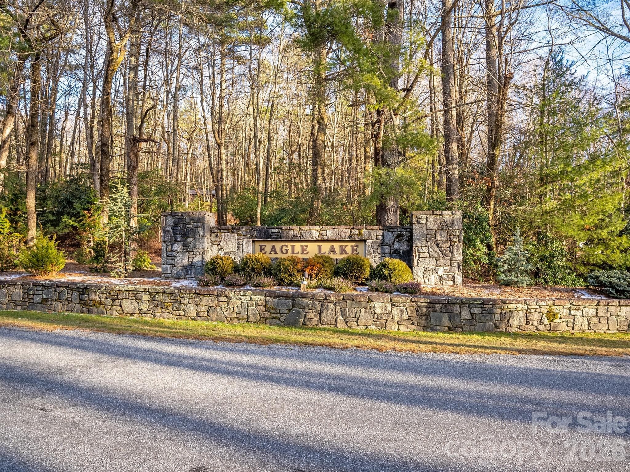 Lot at Brevard, photo 11 of 12