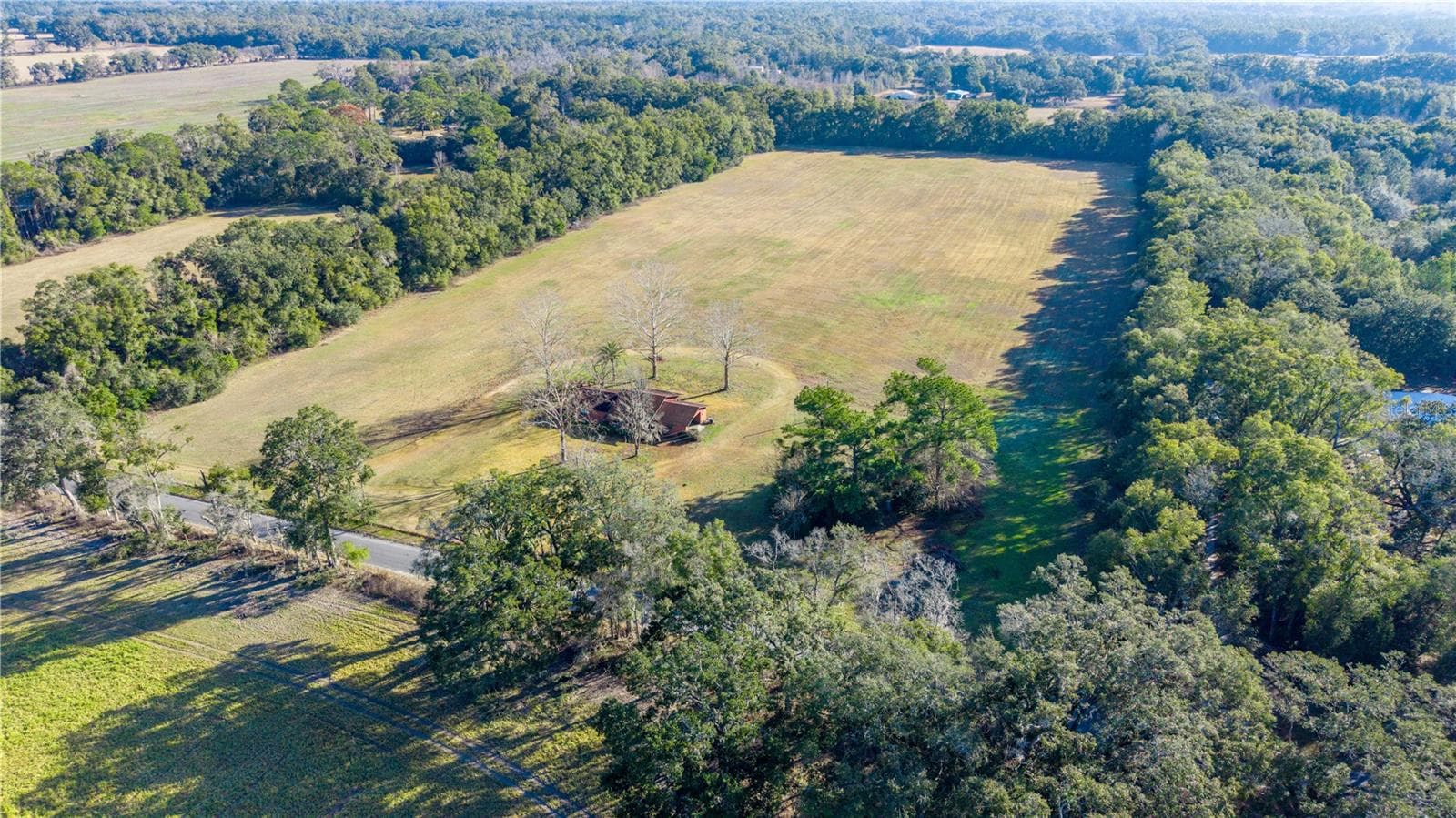 Land at 0000 SW 202 ST, NEWBERRY, photo 9 of 13